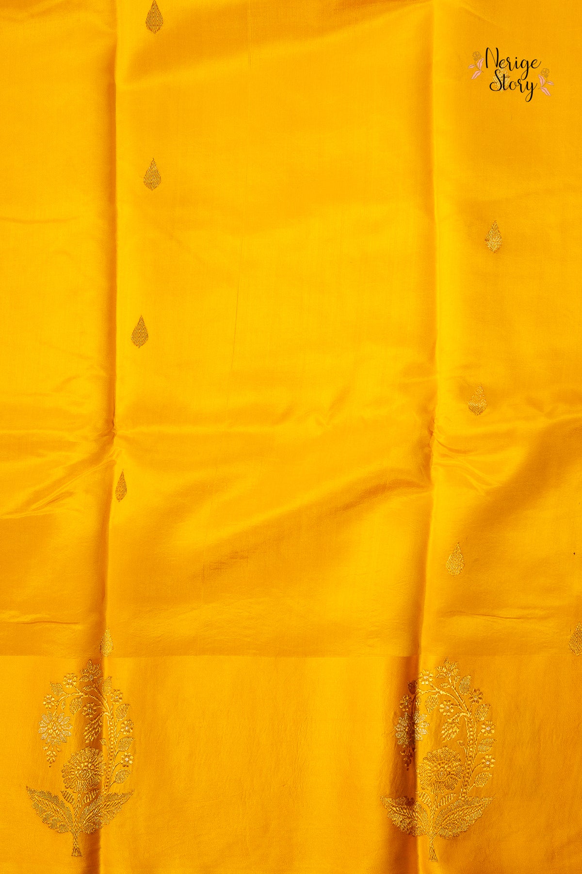 DHRISHITA (धृषिता)