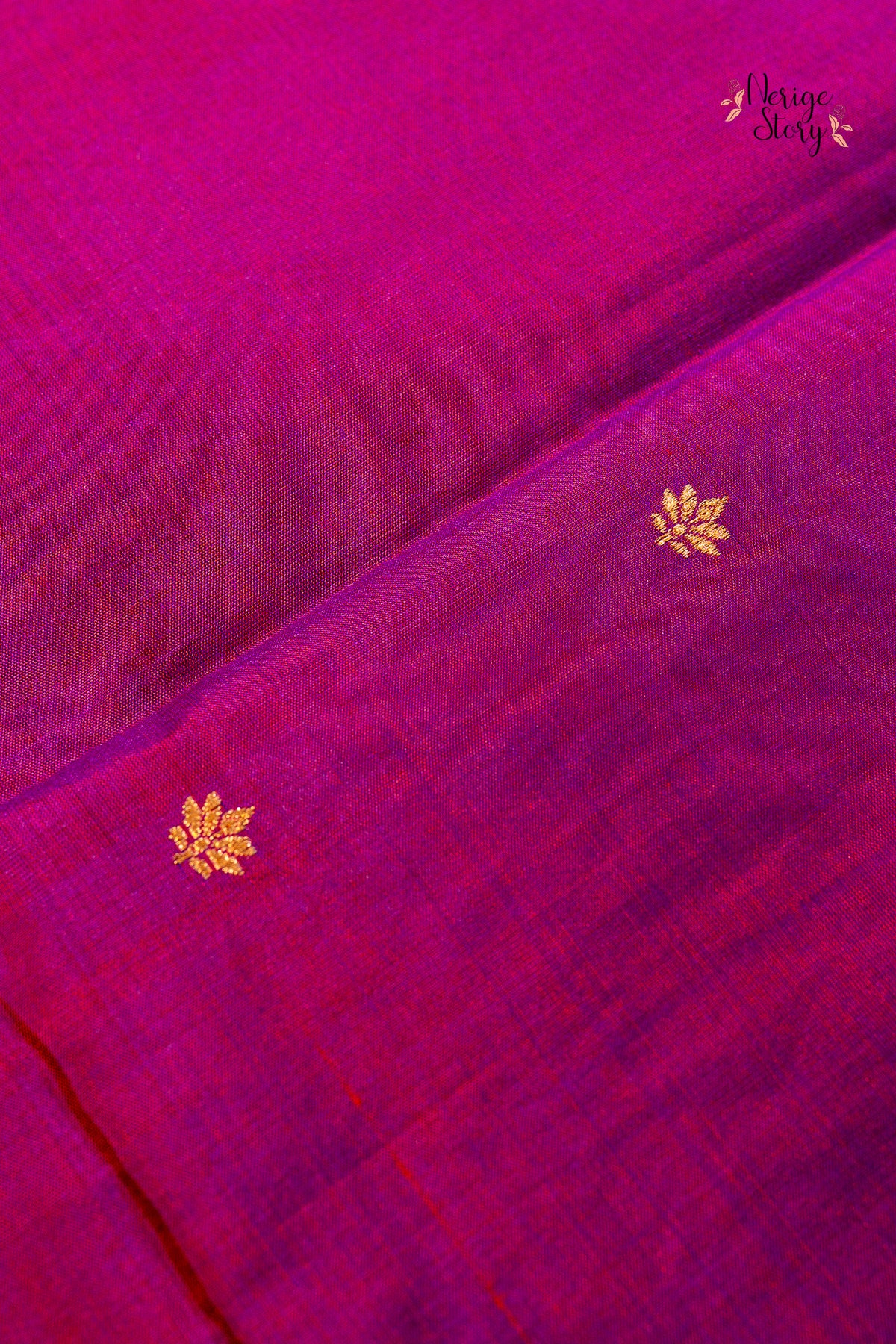 PRITHVI (पृथ्वी)