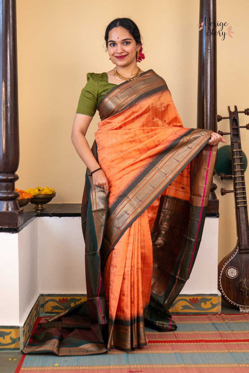 NIRVI (निर्वी)