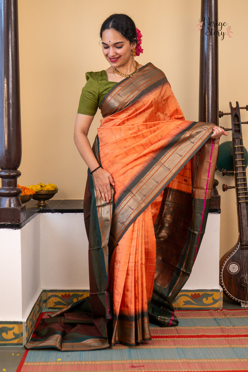 NIRVI (निर्वी)