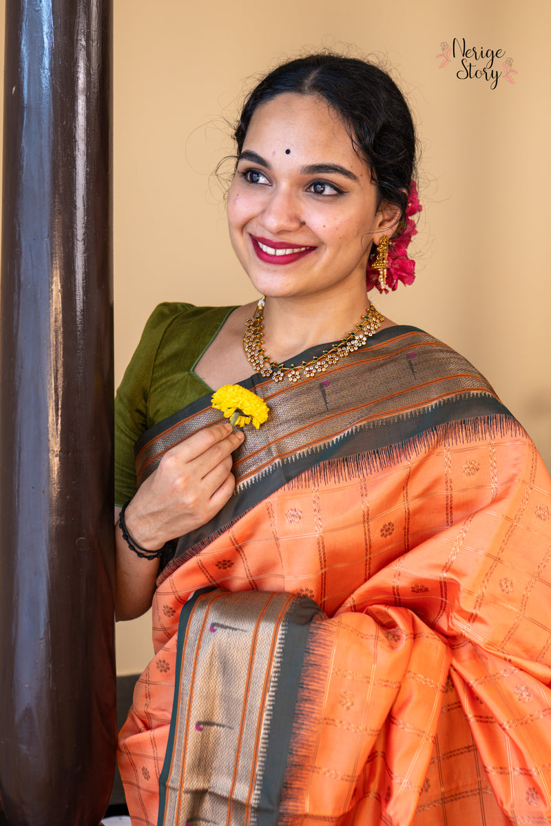 NIRVI (निर्वी)