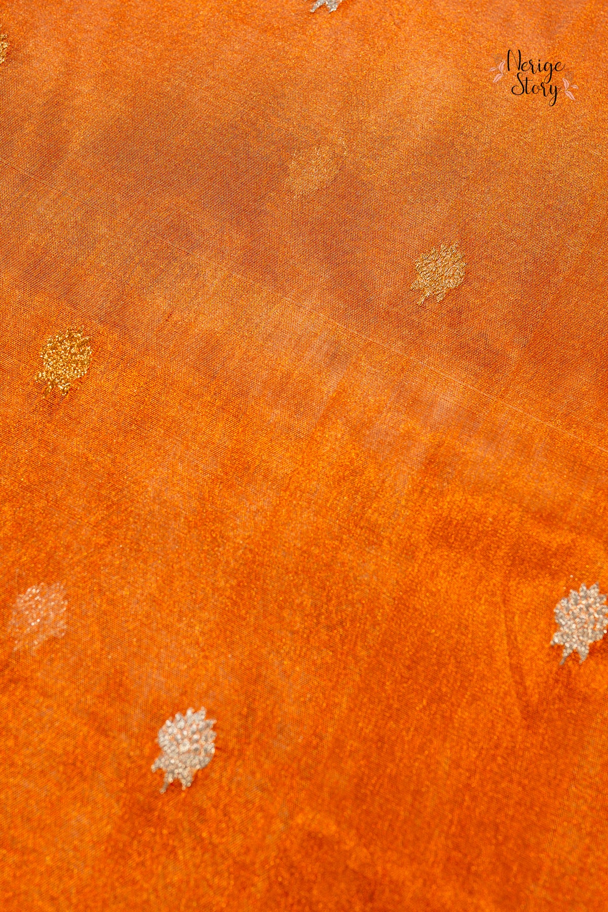 BHAUMIKA (भौमिका)