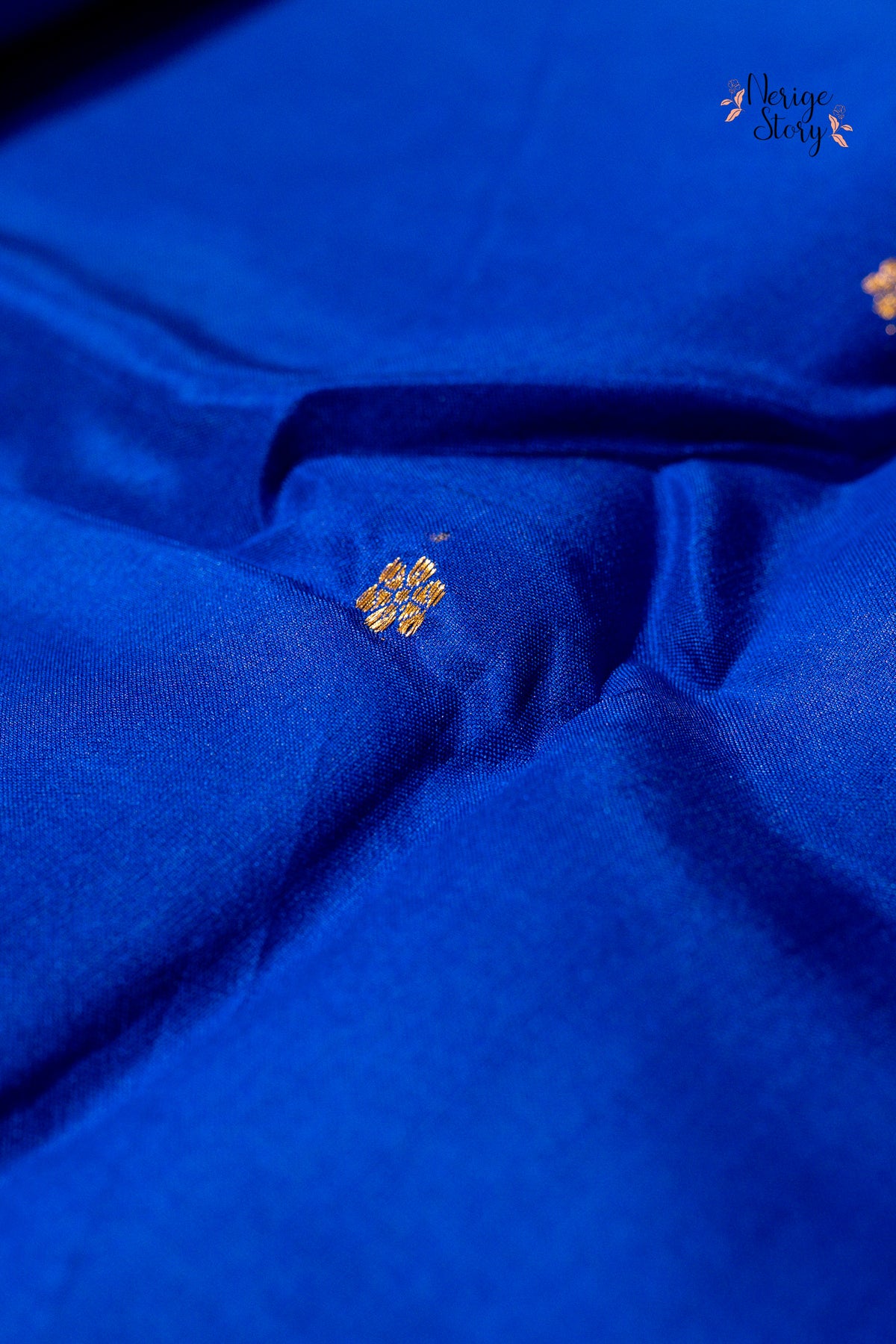 PHALGUNI (फाल्गुनी)