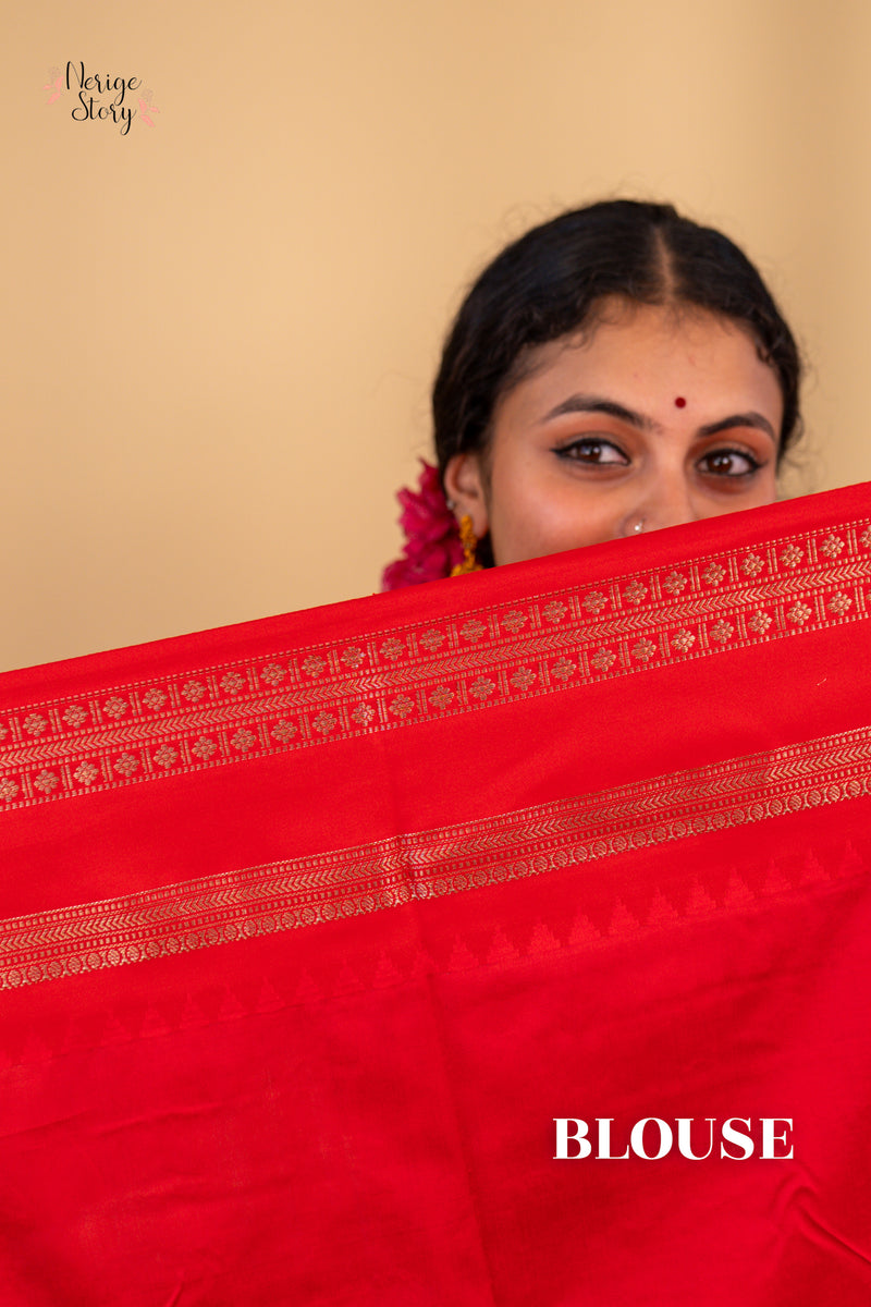 OORJA (ऊर्जा)