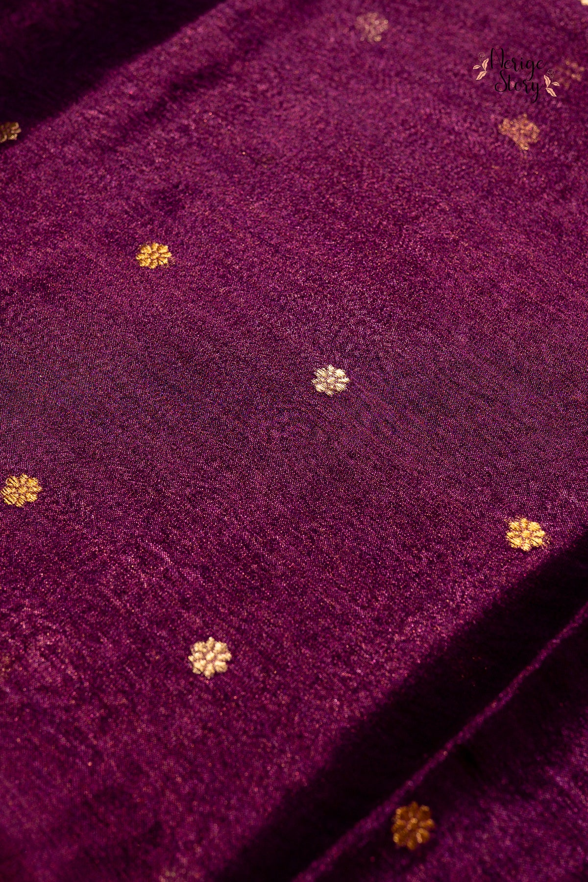 SHRUTANVI (श्रुतान्वी)