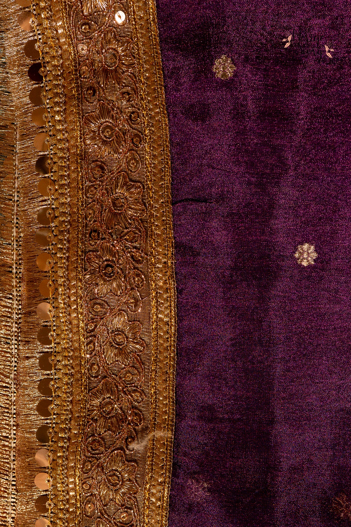 SHRUTANVI (श्रुतान्वी)