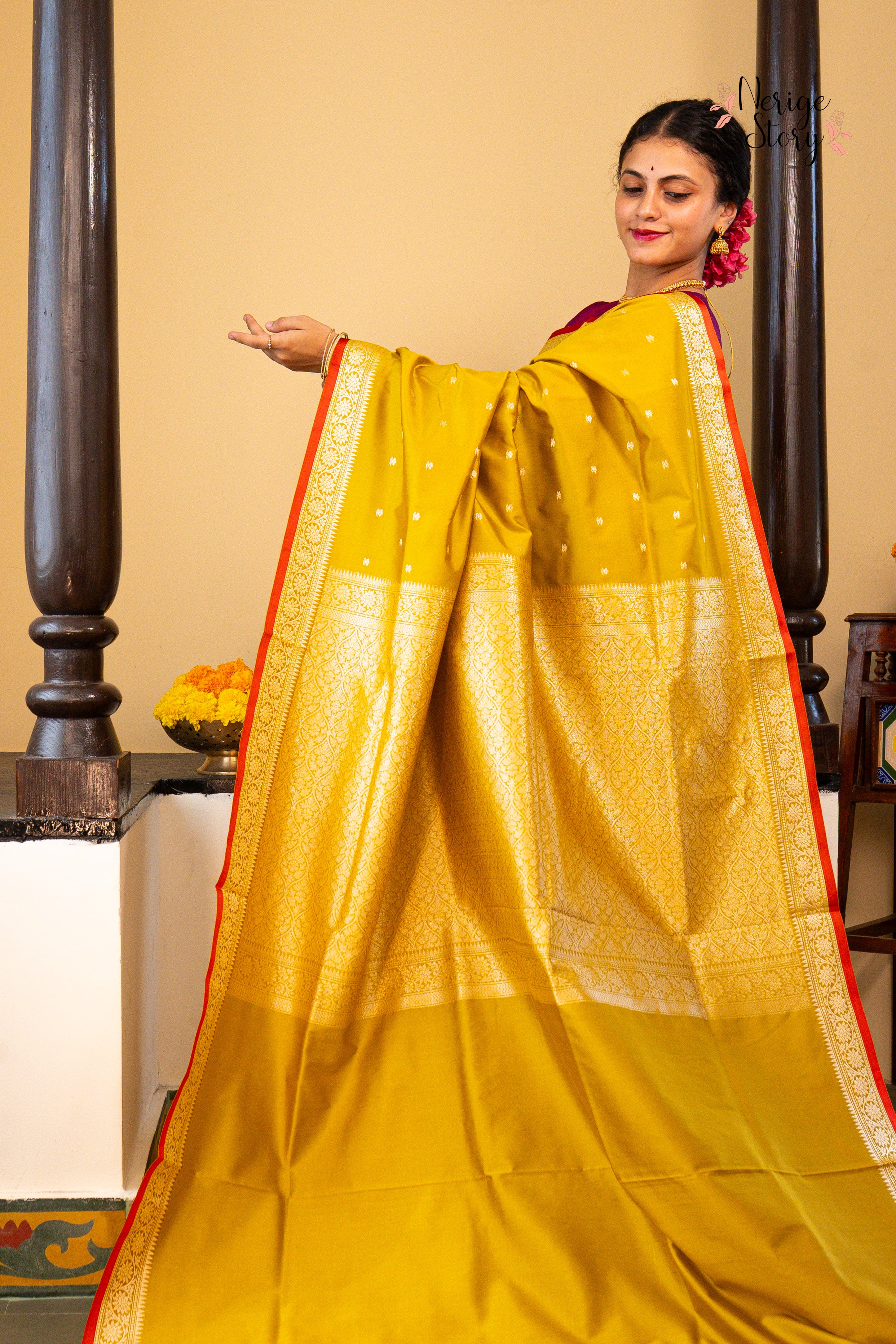 DRONIKA (द्रोणिका)