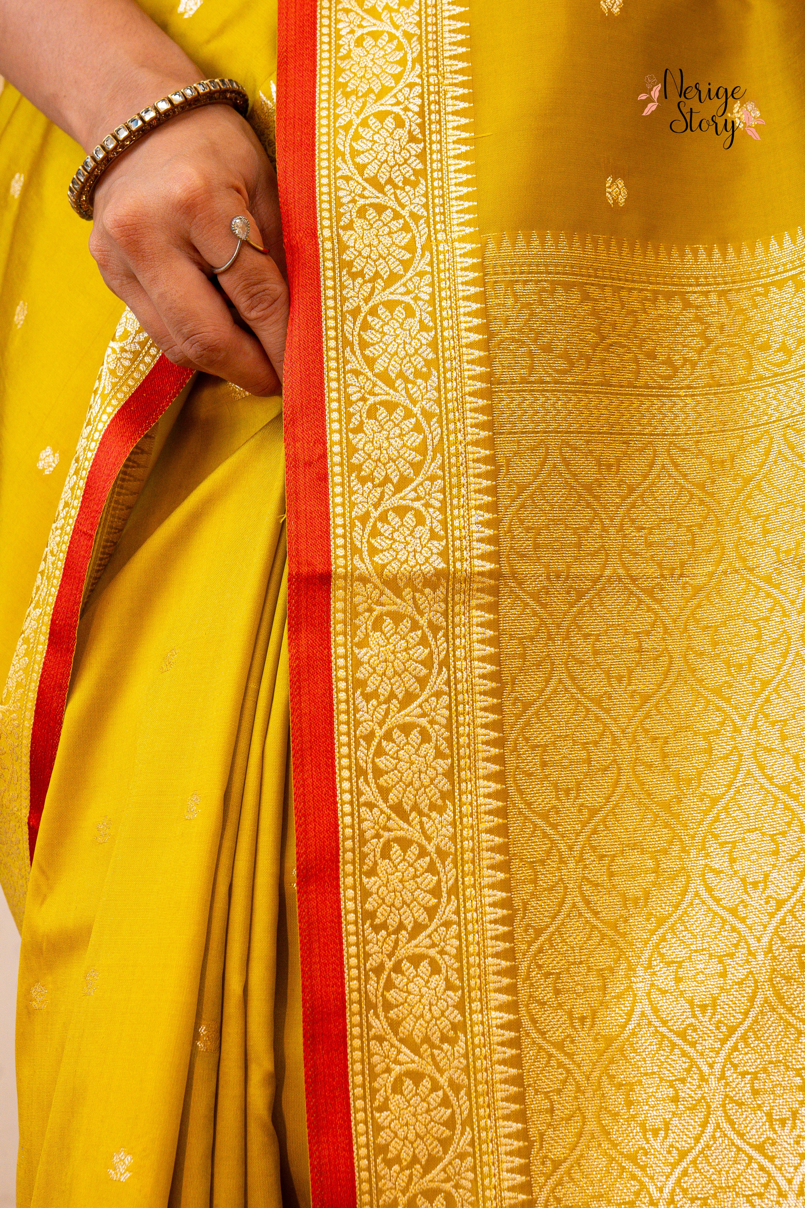 DRONIKA (द्रोणिका)