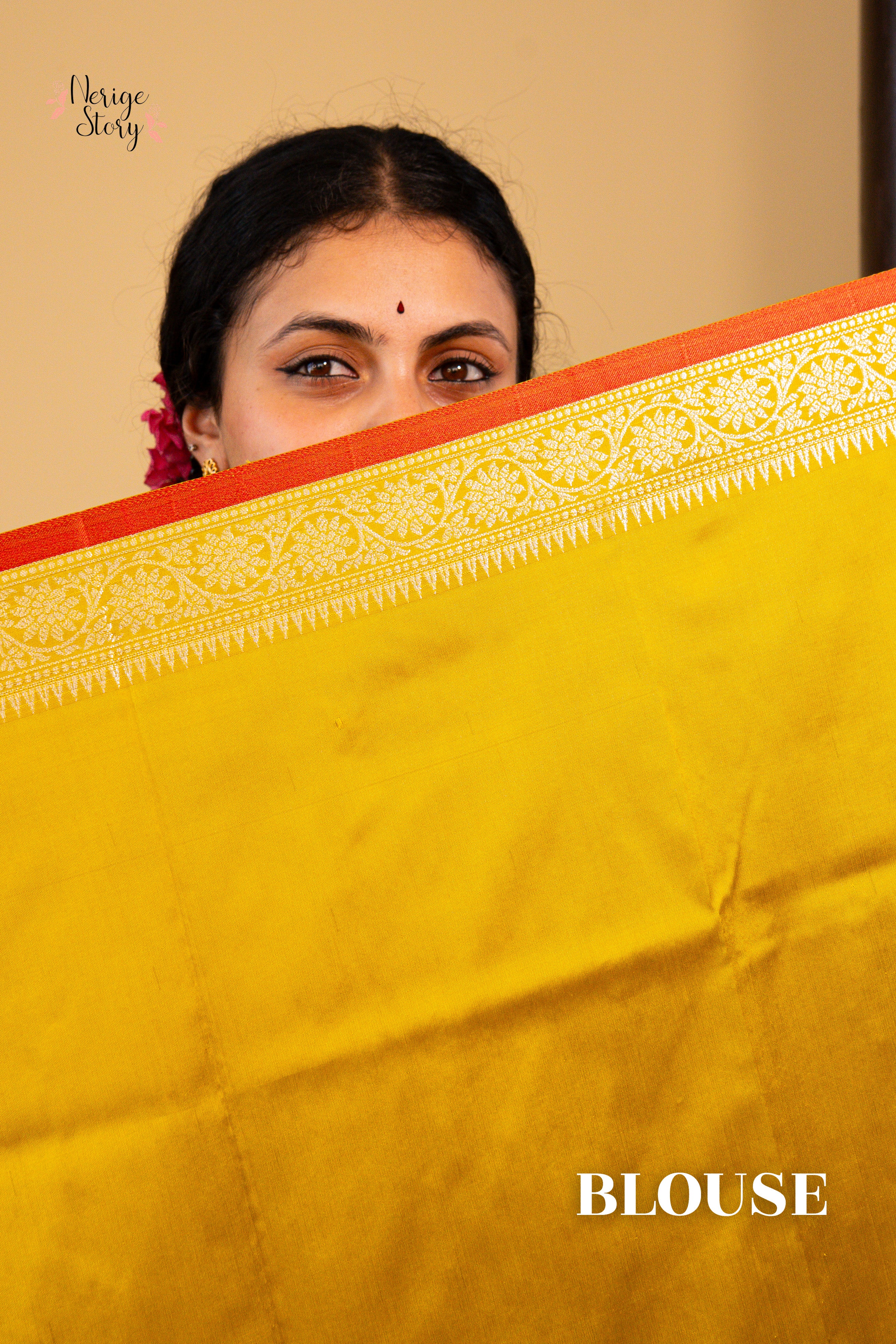 DRONIKA (द्रोणिका)
