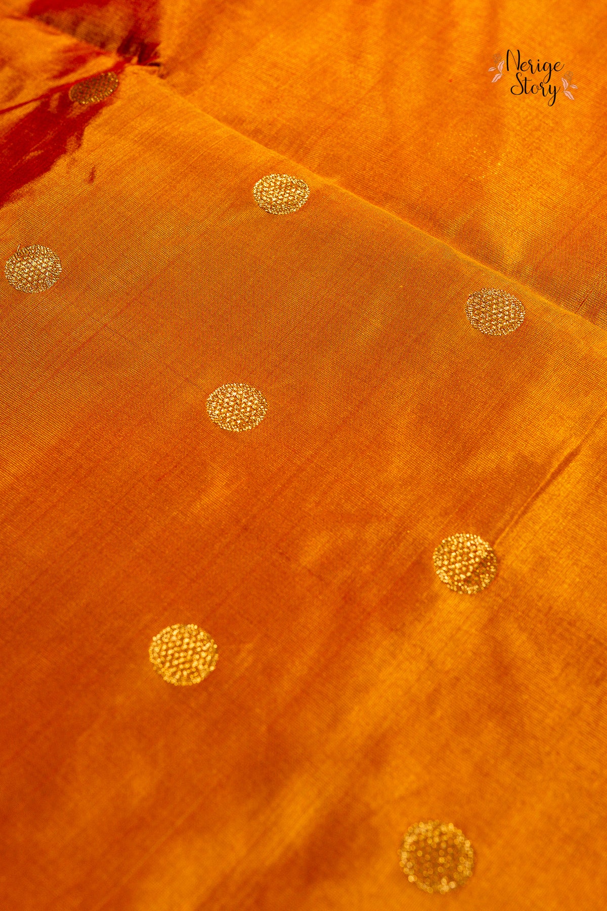 AHINSA (अहिंसा)