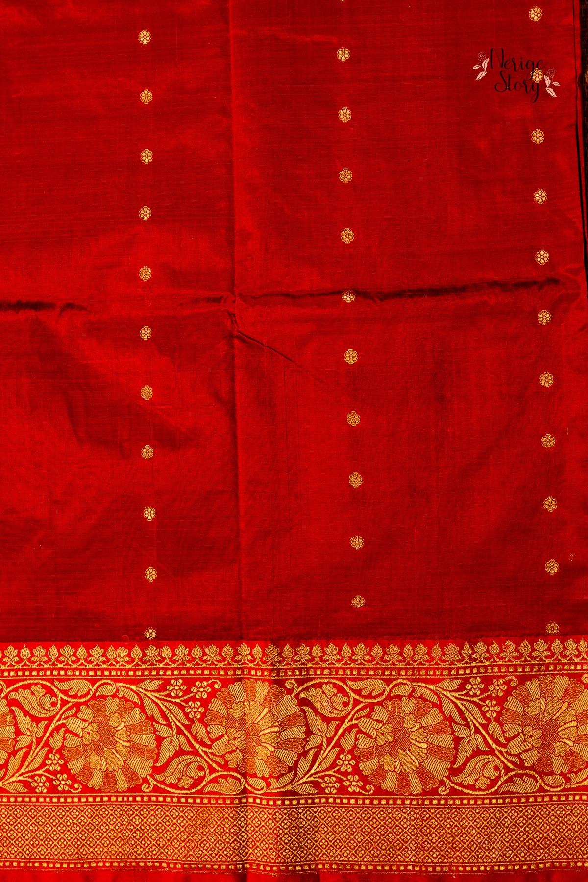 AKSHINI (अक्षिणी)