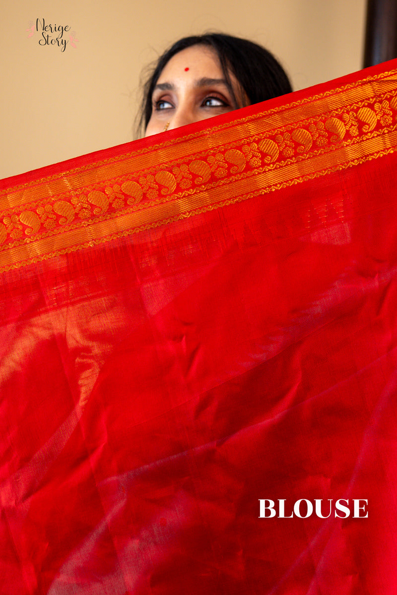 SHARAVA (శరవ)