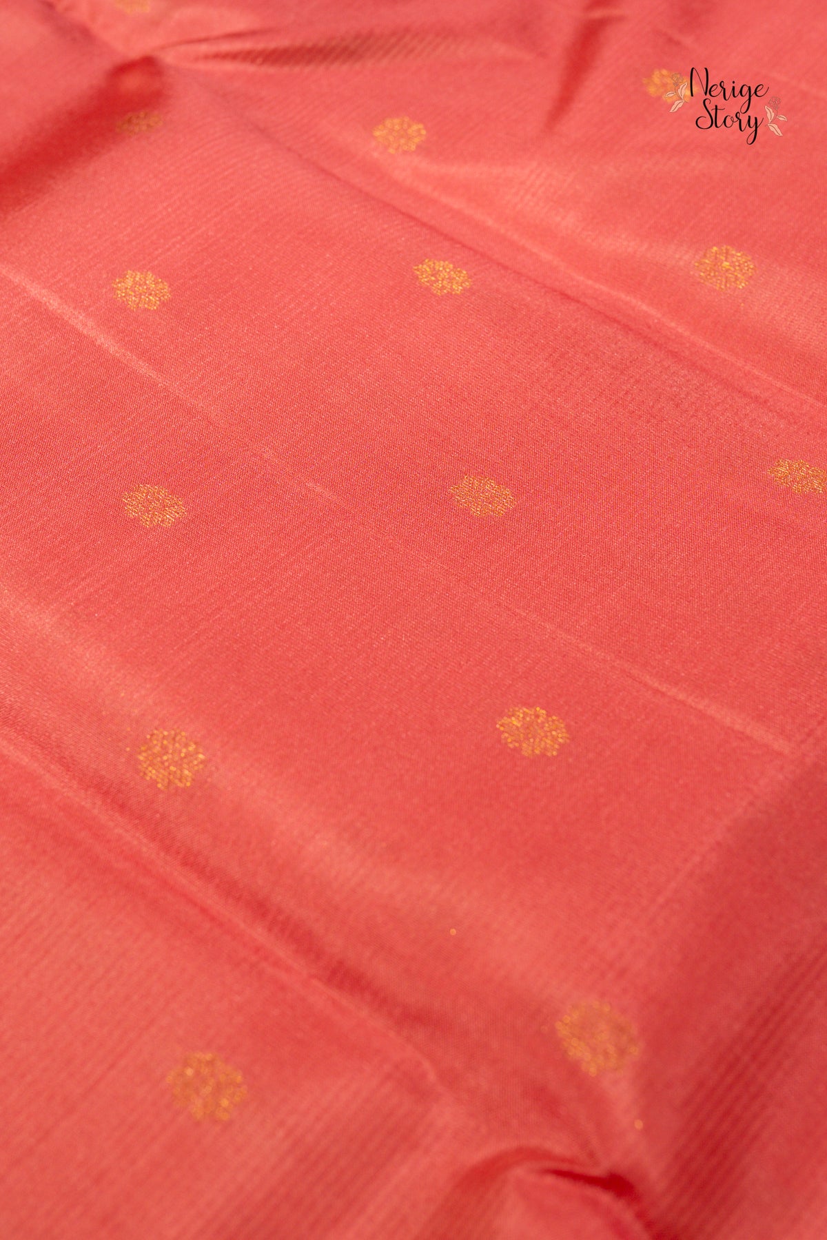 AVANISHA (అవనిష)