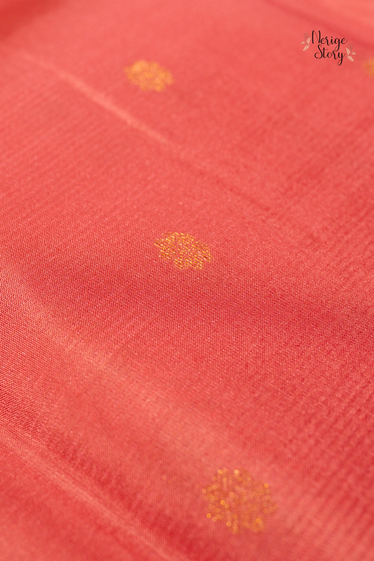 AVANISHA (అవనిష)