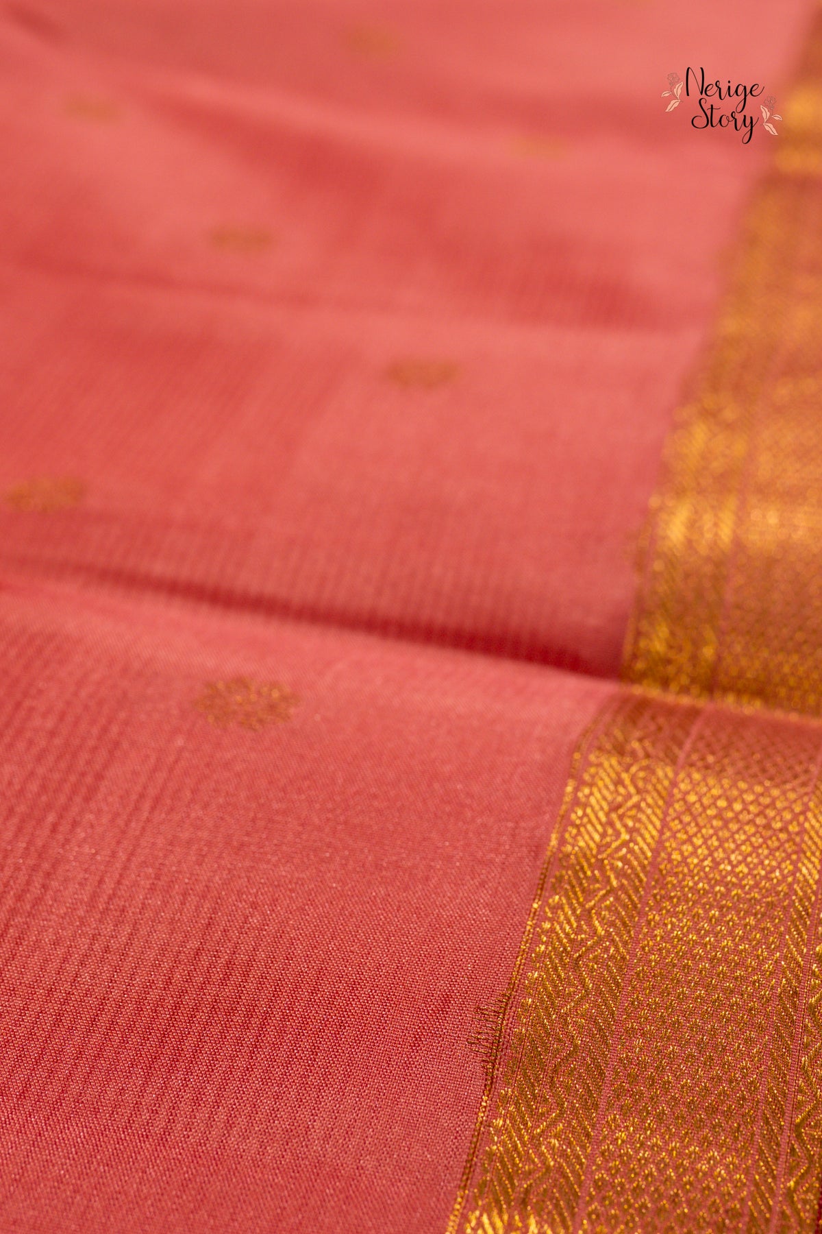 AVANISHA (అవనిష)