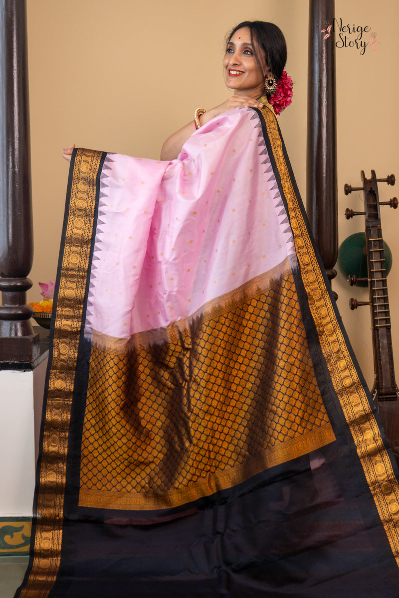 NIPURA (నిపుర)