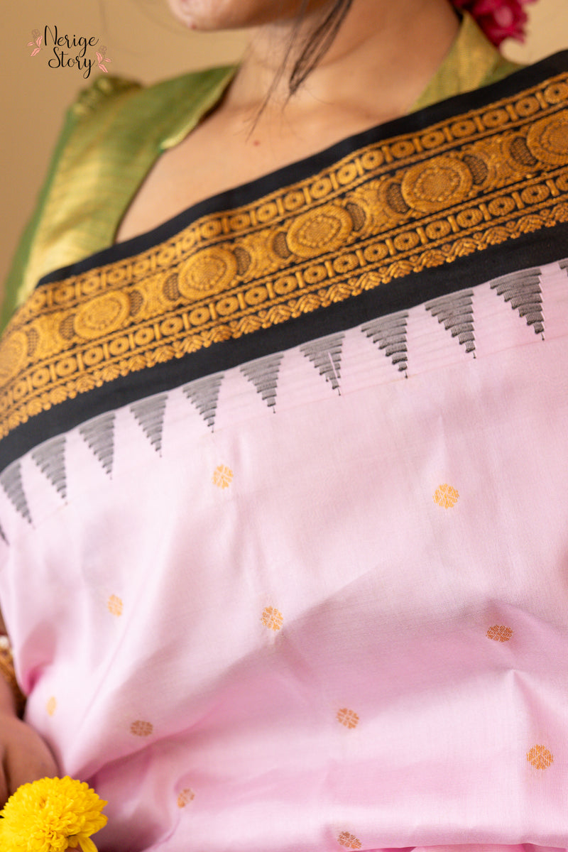NIPURA (నిపుర)