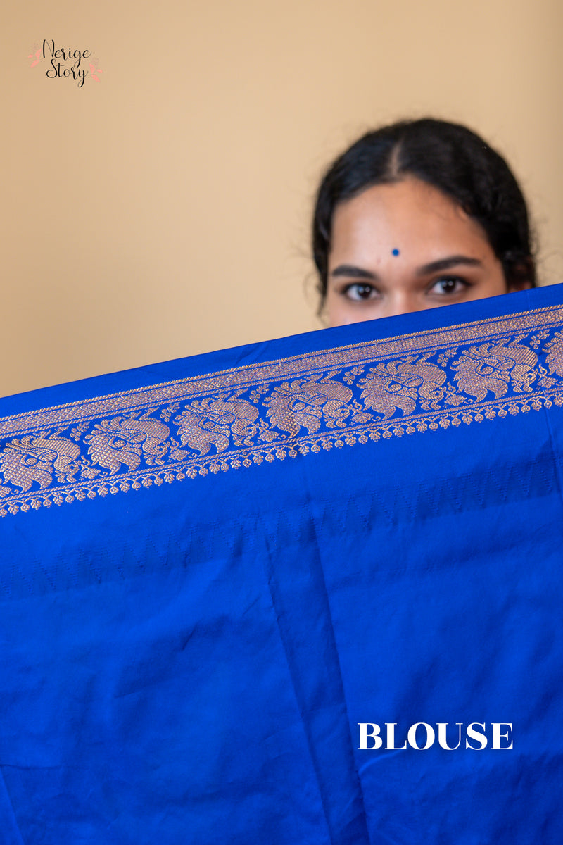 ASHITHA (ಅಶಿತಾ)