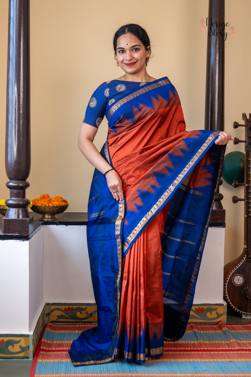 DAMINI (ದಾಮಿನಿ)