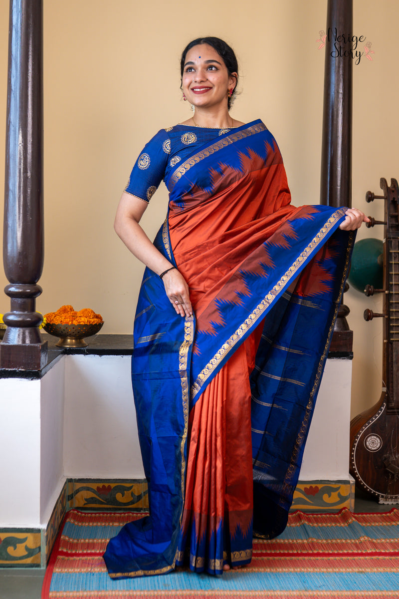 DAMINI (ದಾಮಿನಿ)