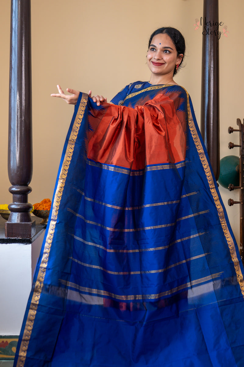 DAMINI (ದಾಮಿನಿ)