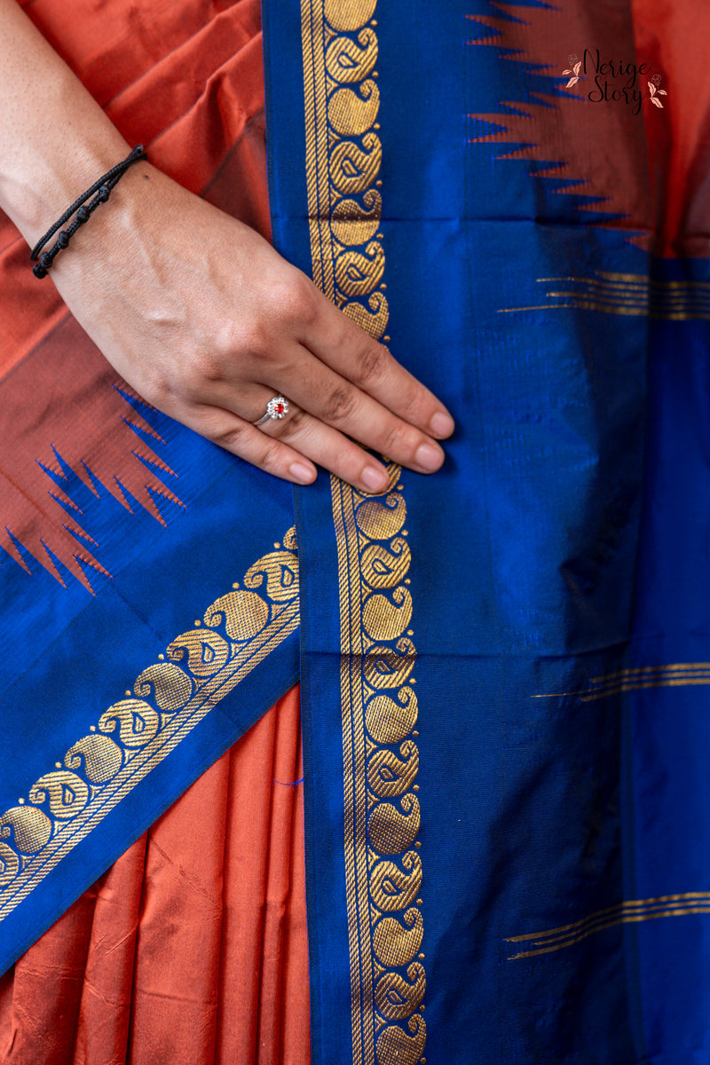 DAMINI (ದಾಮಿನಿ)