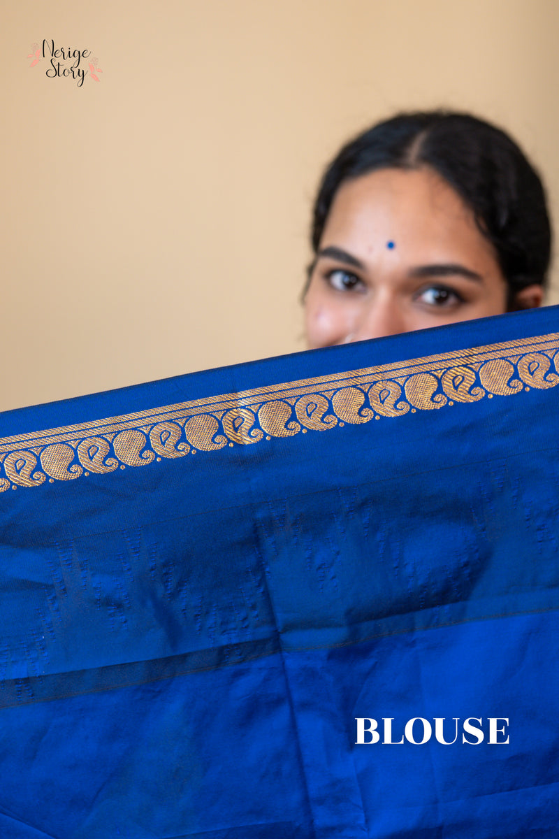 DAMINI (ದಾಮಿನಿ)