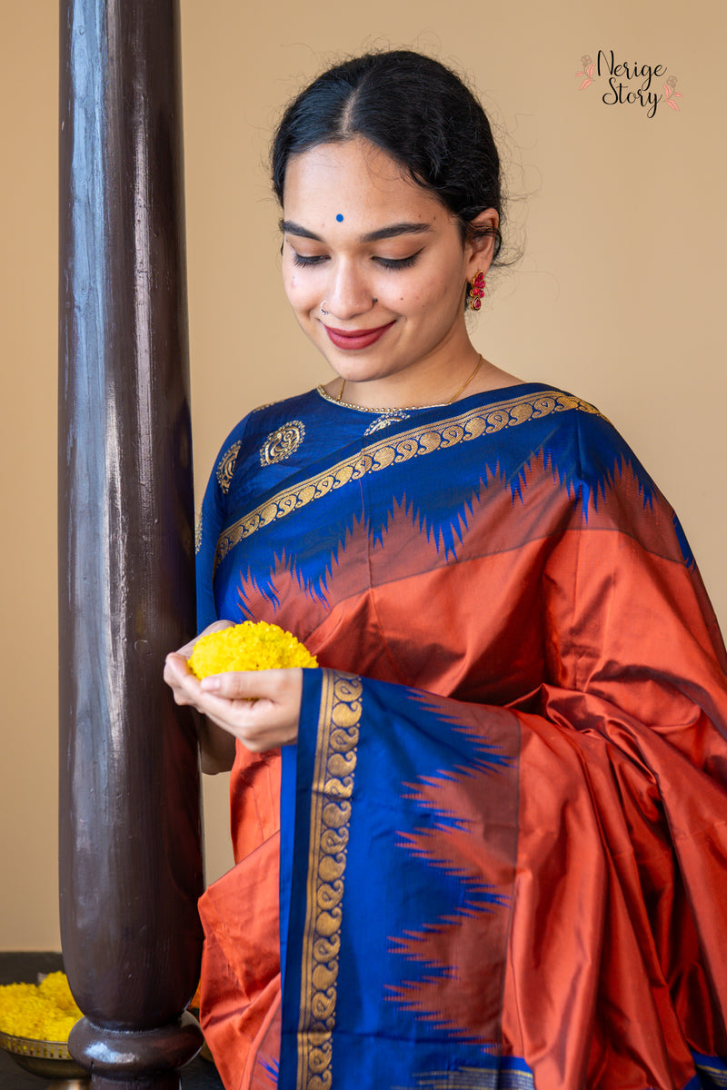 DAMINI (ದಾಮಿನಿ)