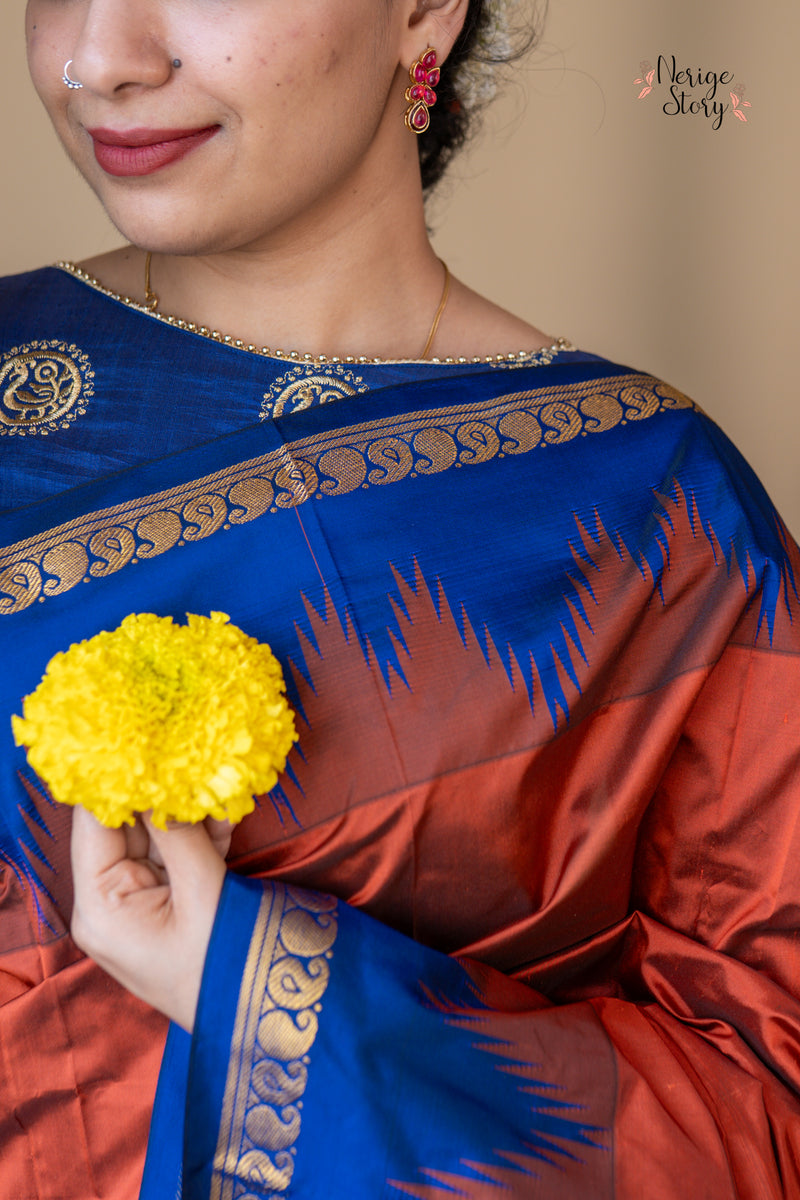 DAMINI (ದಾಮಿನಿ)