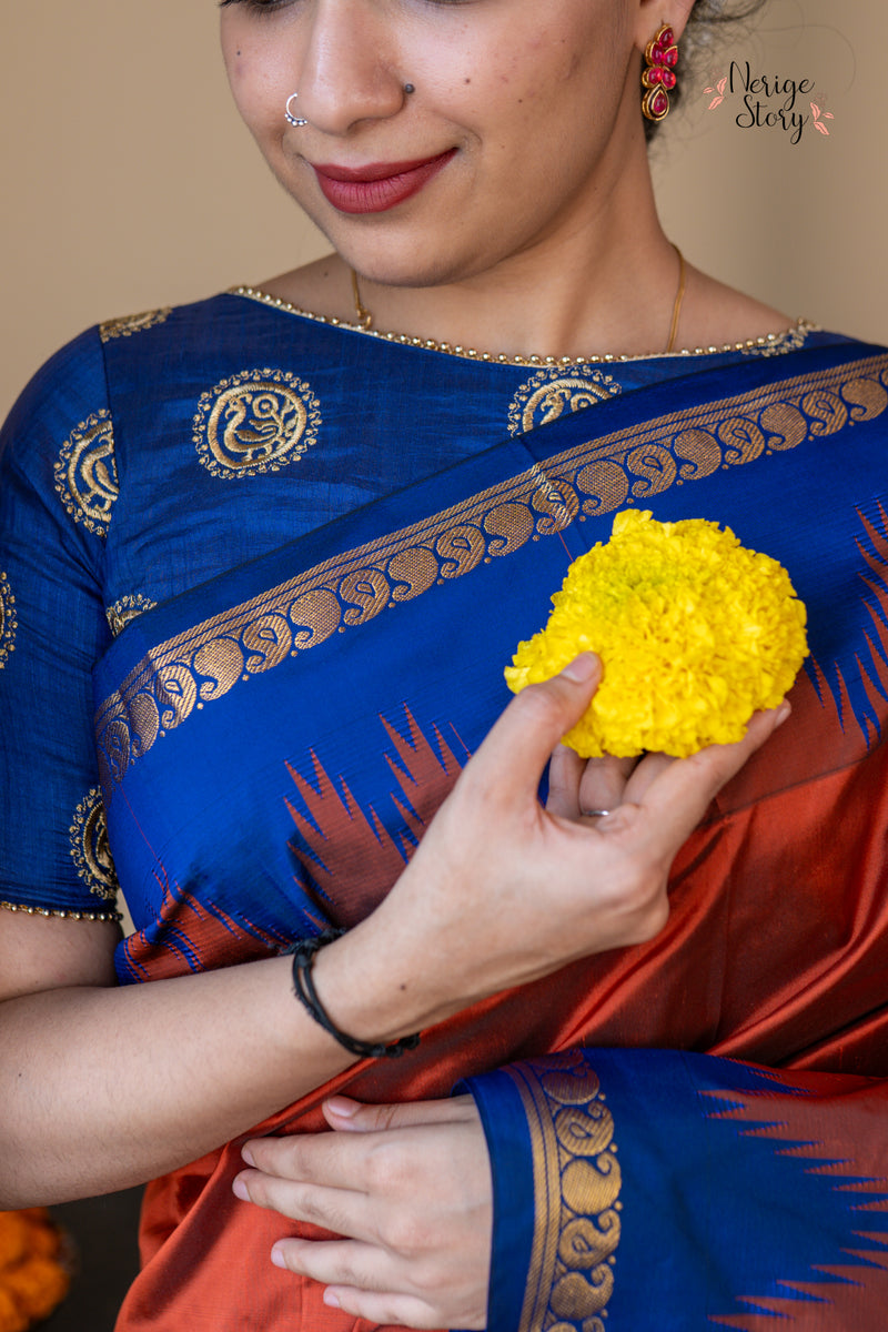 DAMINI (ದಾಮಿನಿ)