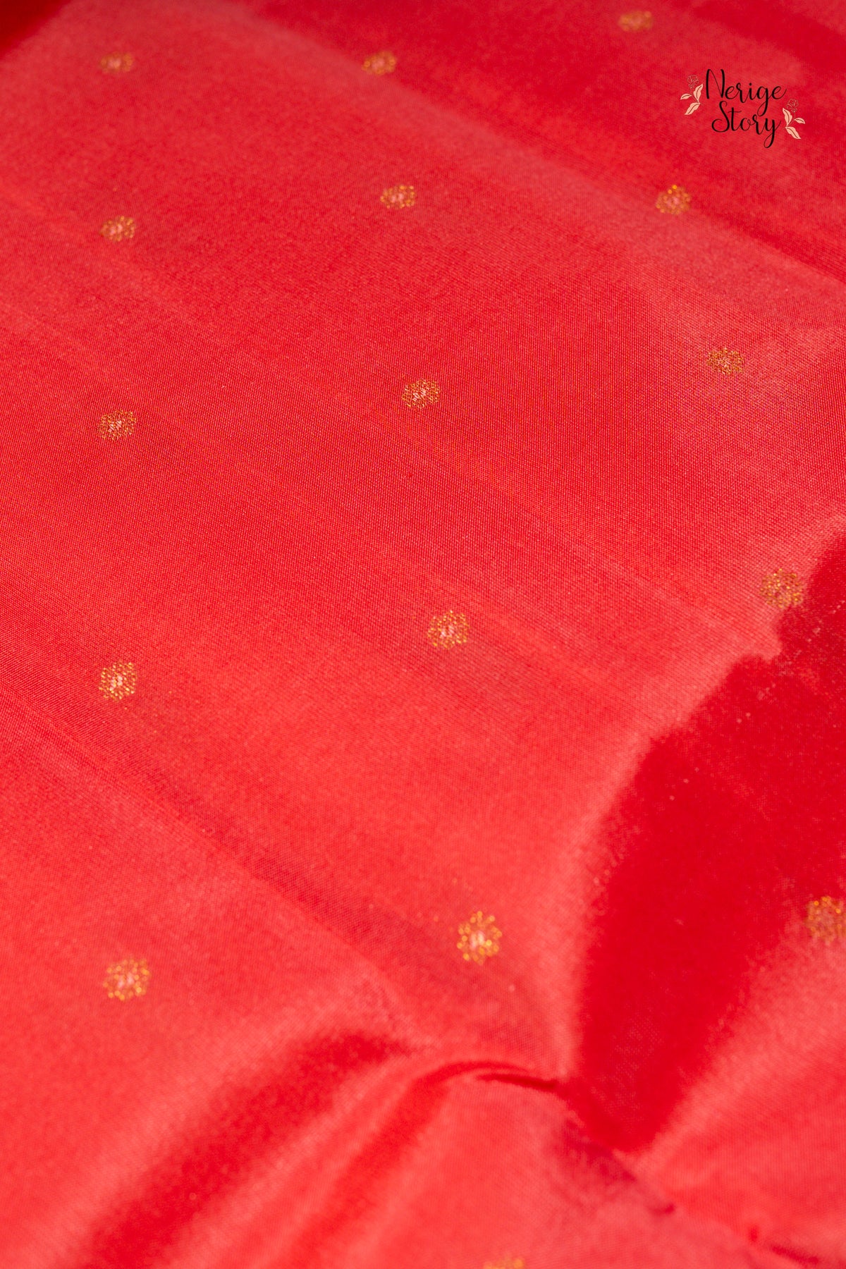 AGASTYA (అగస్త్య)