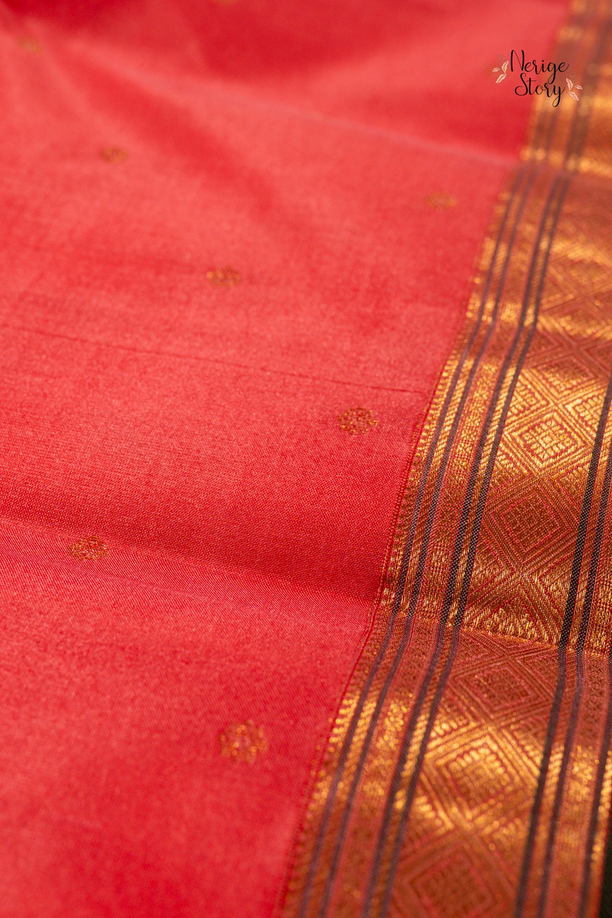 AGASTYA (అగస్త్య)