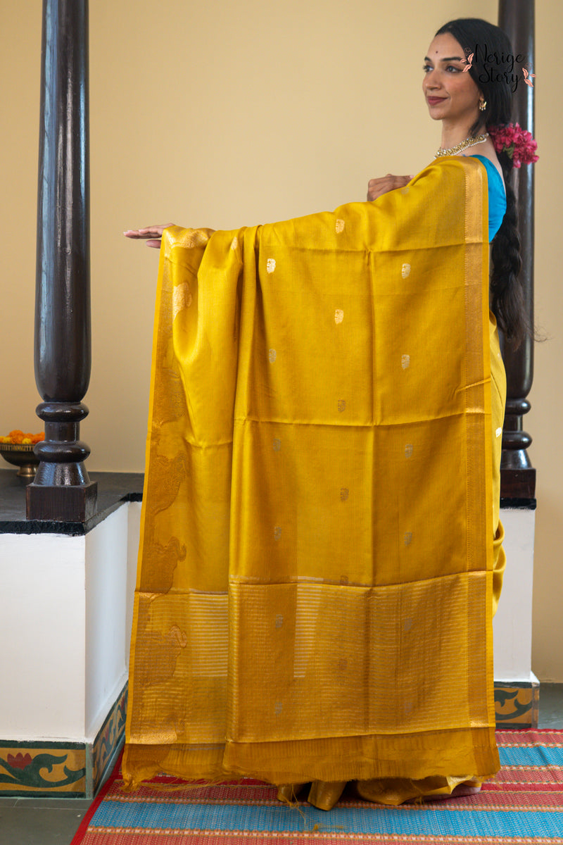 SHYAMALI (श्यामली)