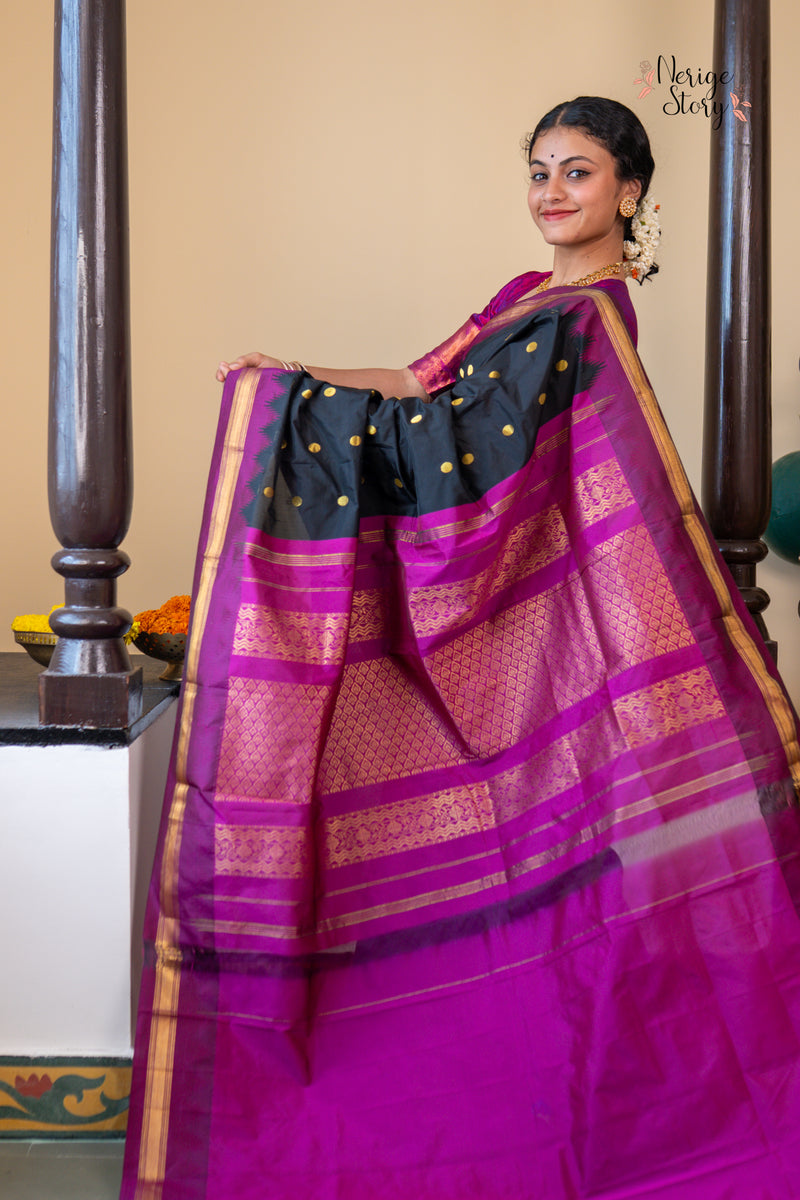 NANDINI (ನಂದಿನಿ)