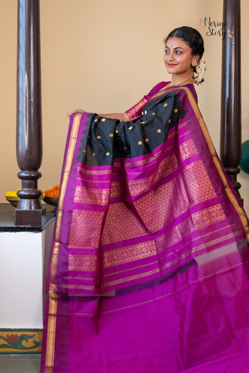 NANDINI (ನಂದಿನಿ)