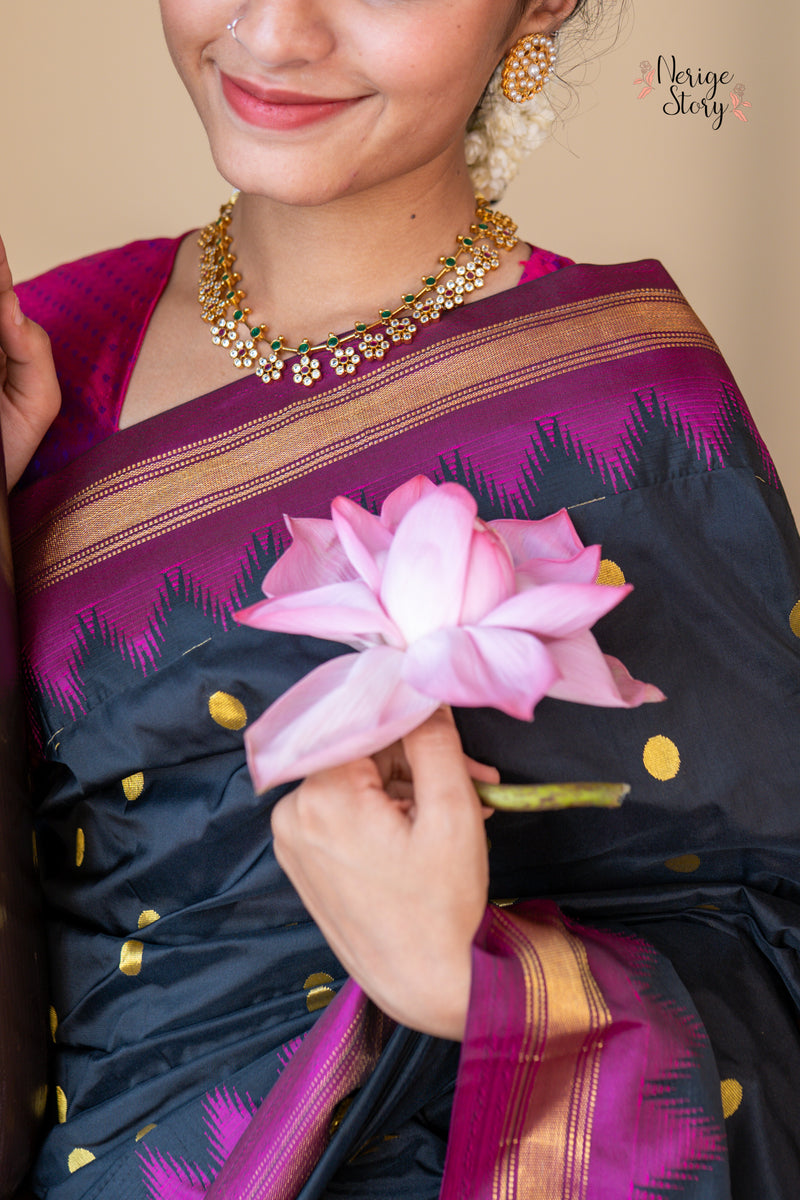NANDINI (ನಂದಿನಿ)