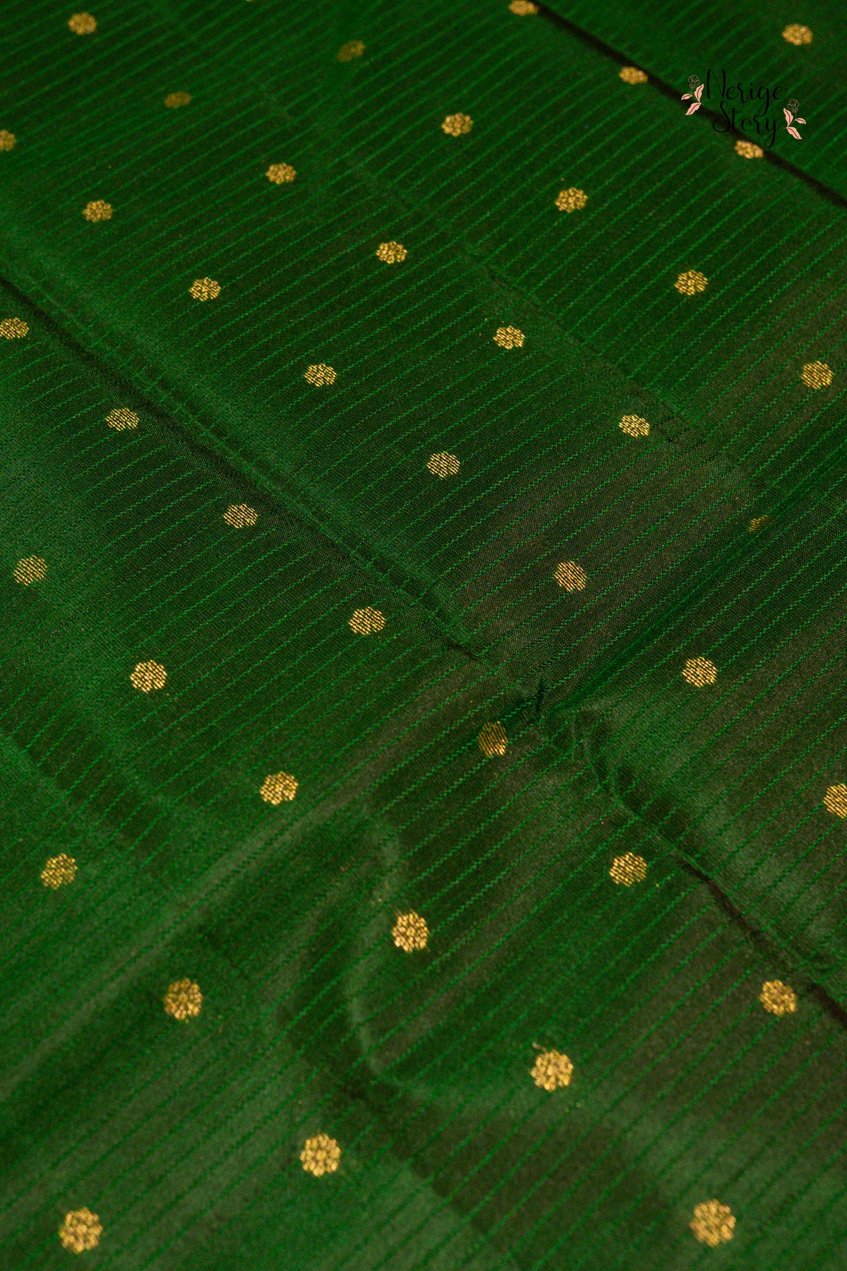 PARAVAI (பறவை)