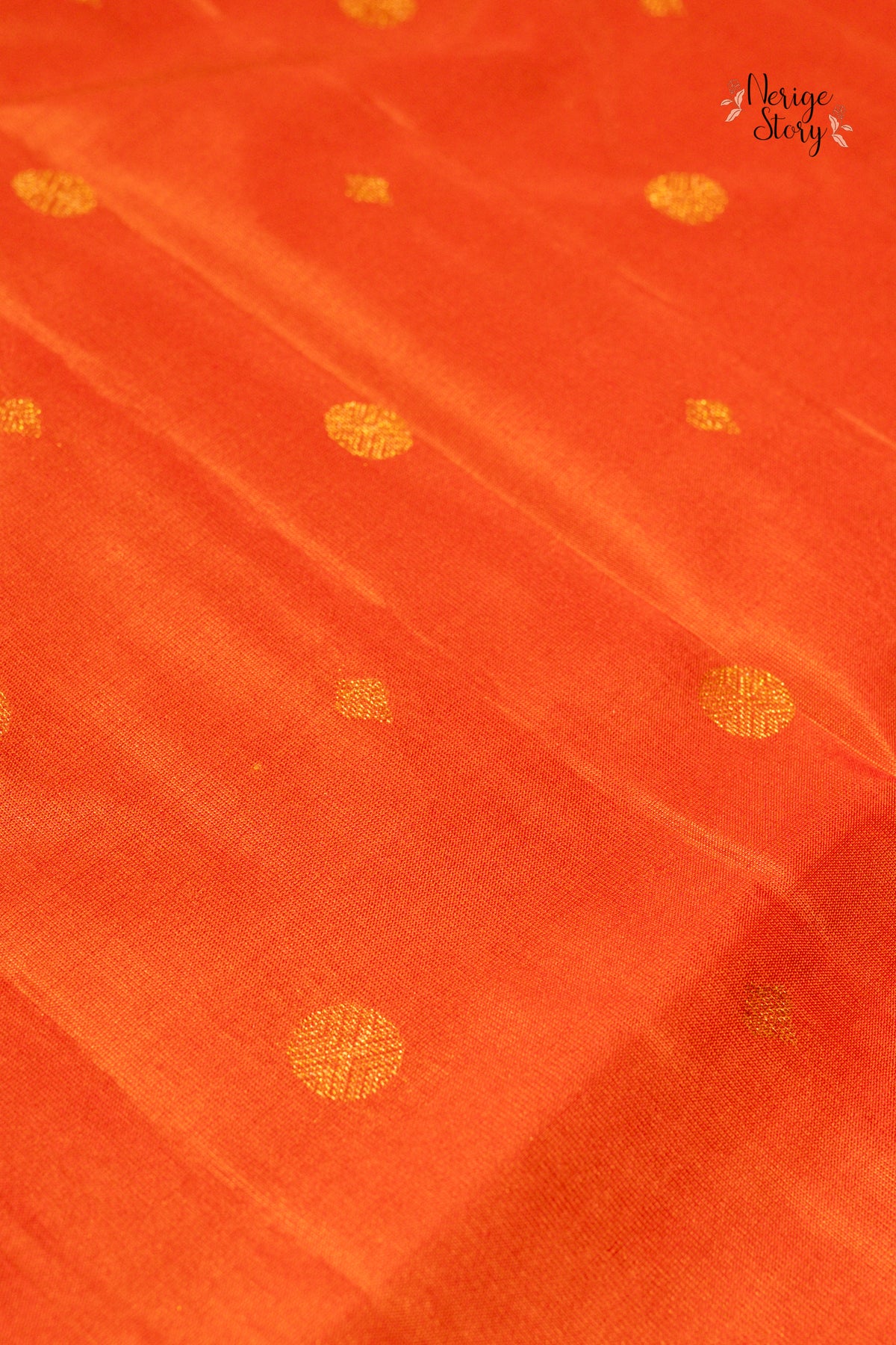 PAKSHIKA (பக்ஷிகா)