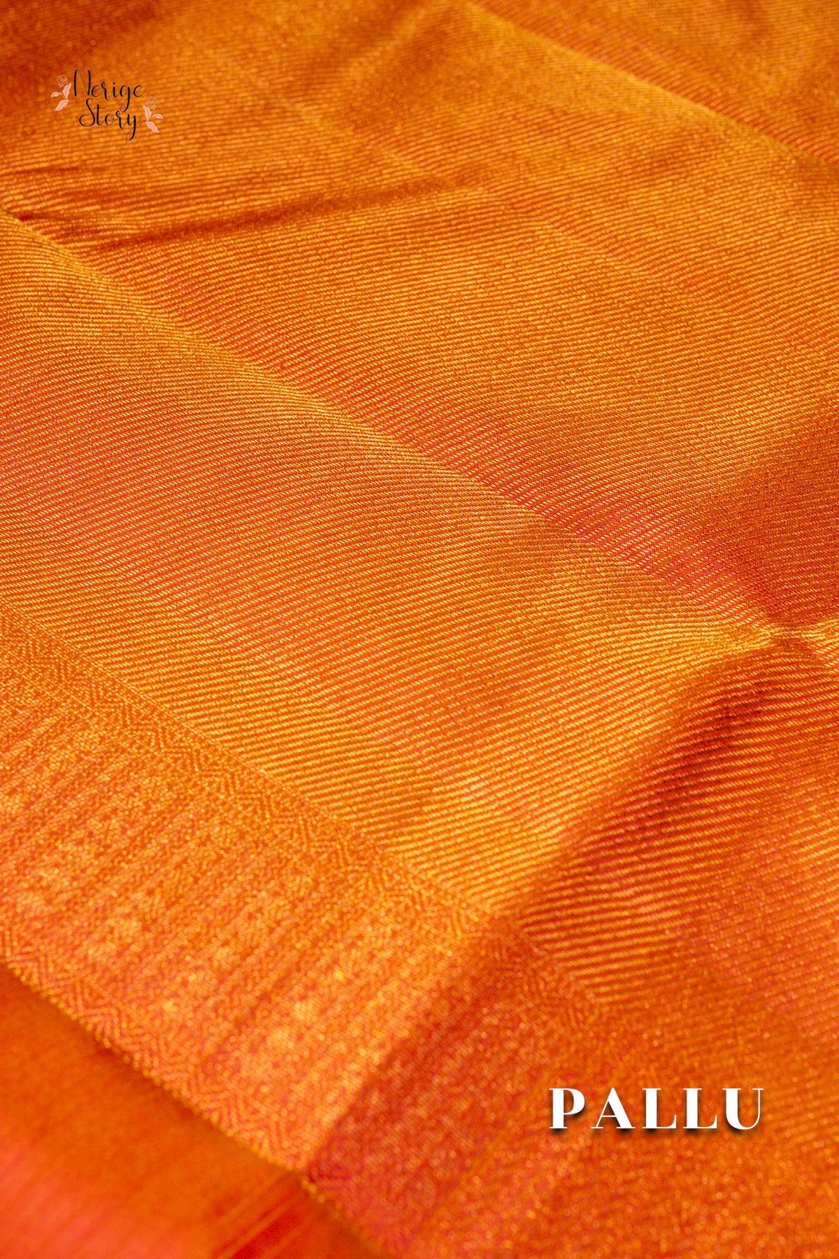 CHILUKA (చిలుక)