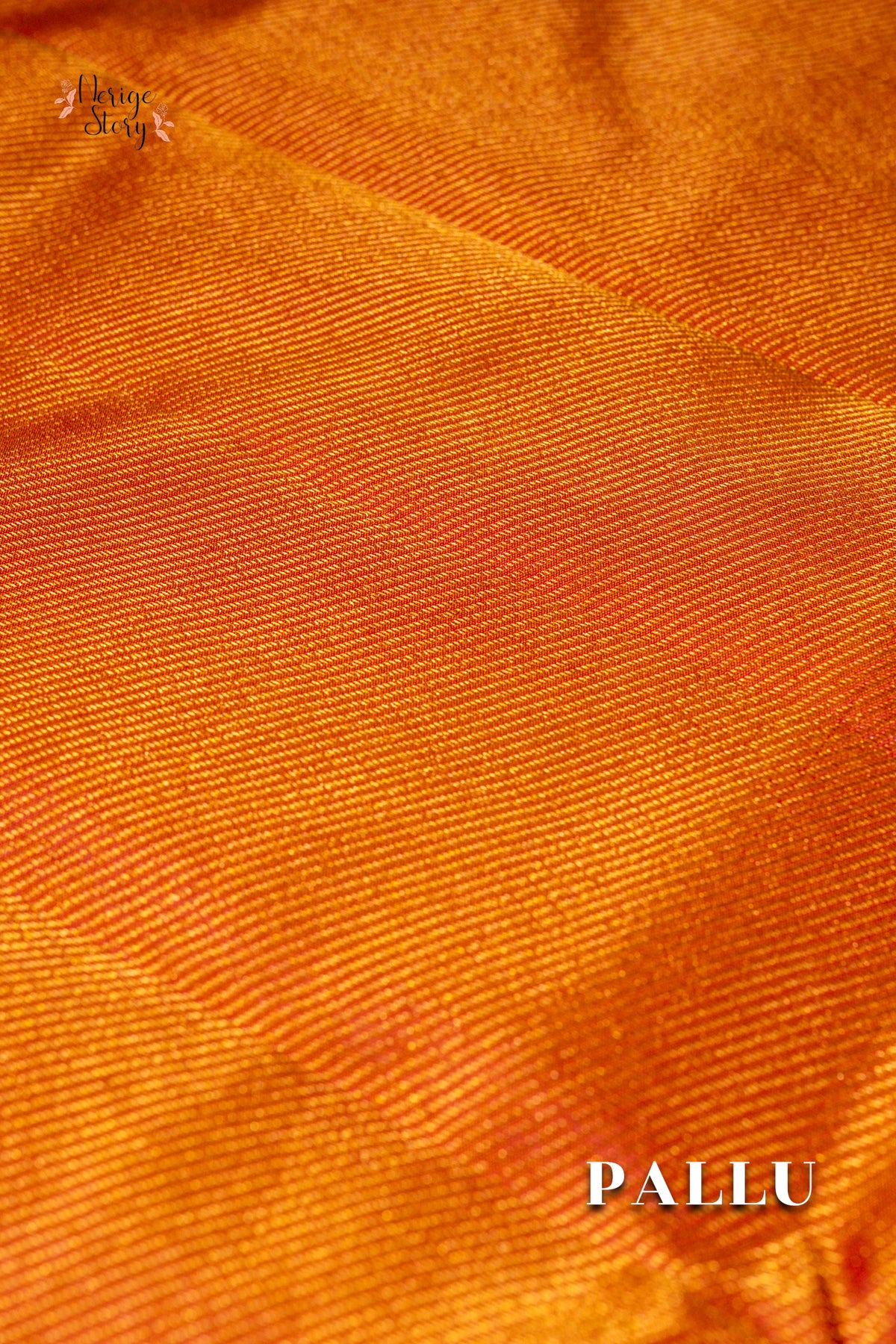 CHILUKA (చిలుక)