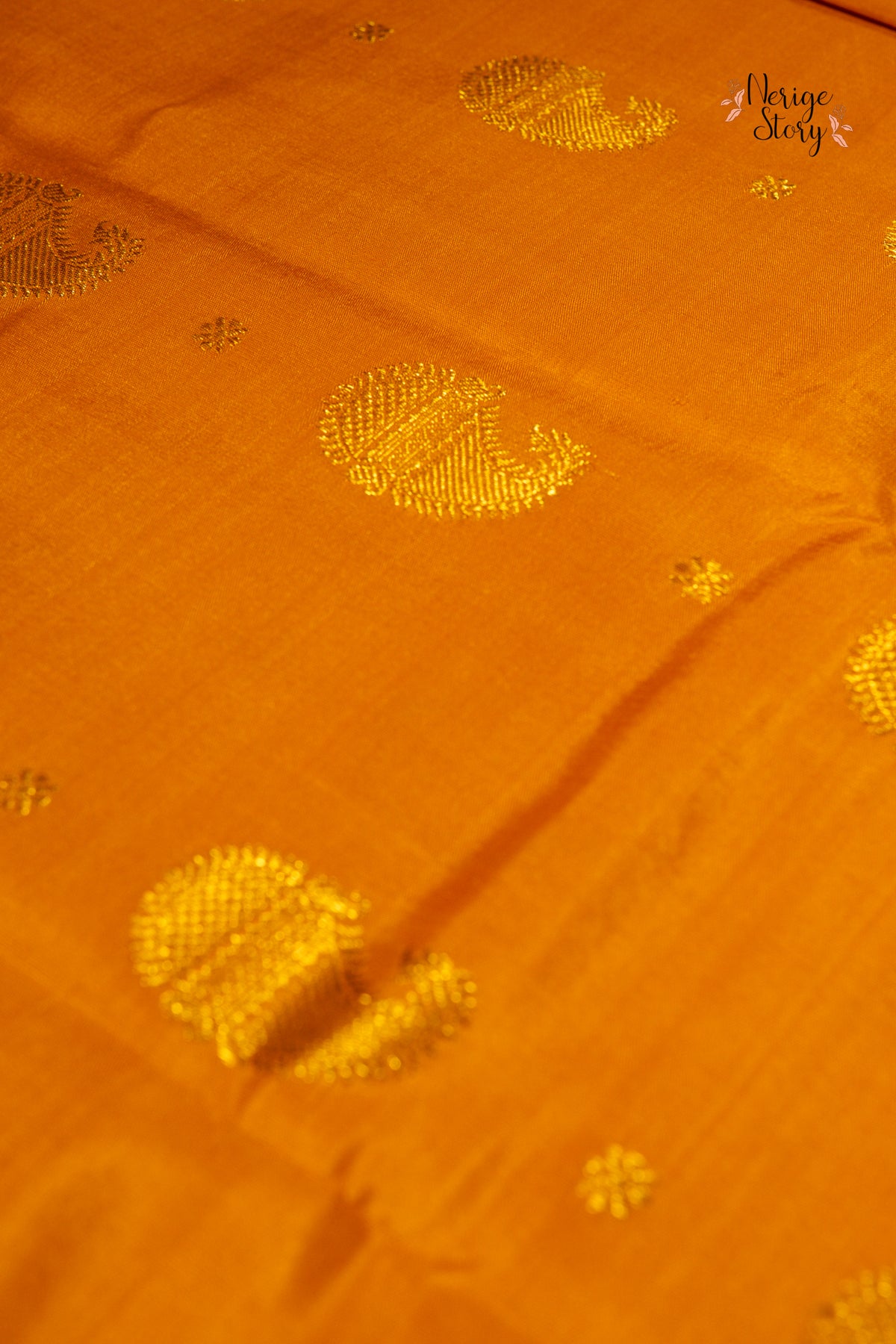 AMARNA (అమర్ణ)