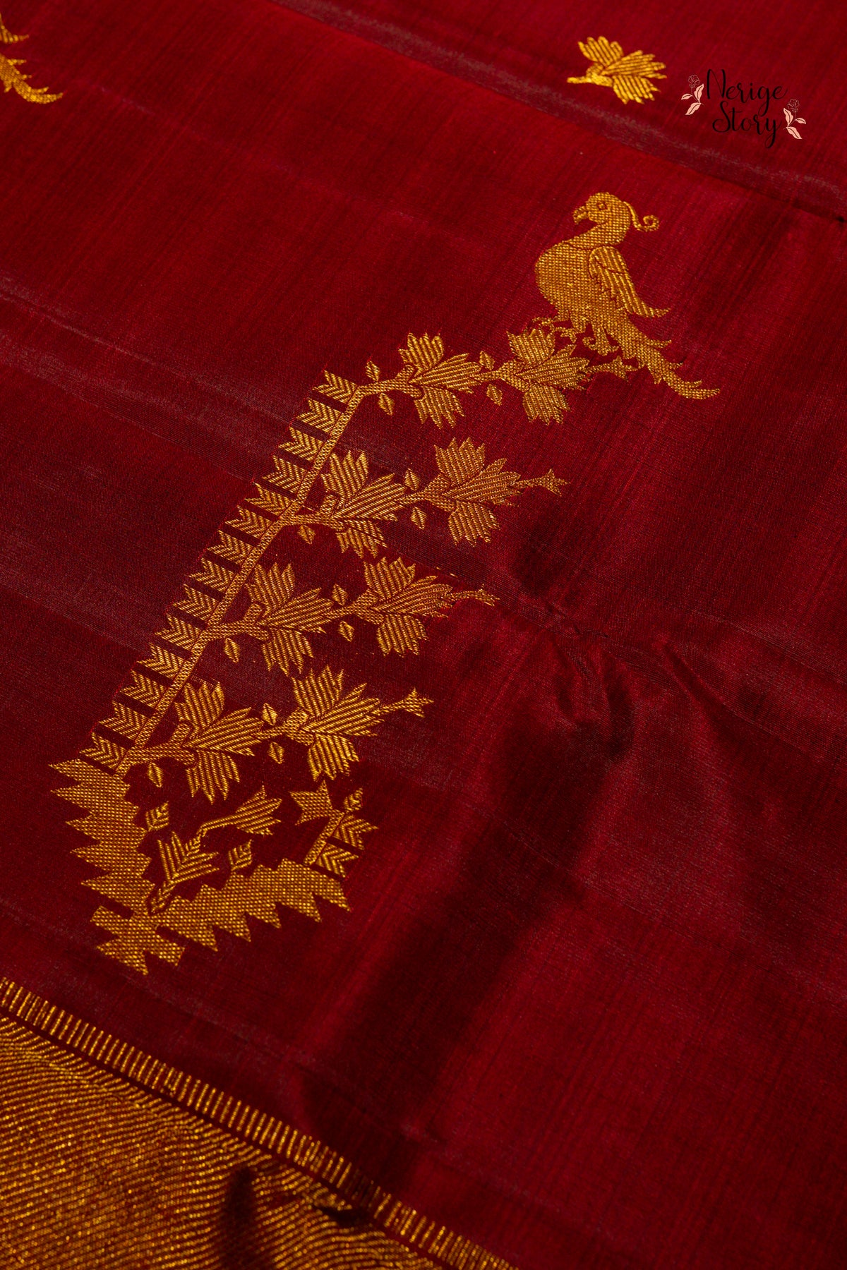 DHRISHITA (ధృషిత)