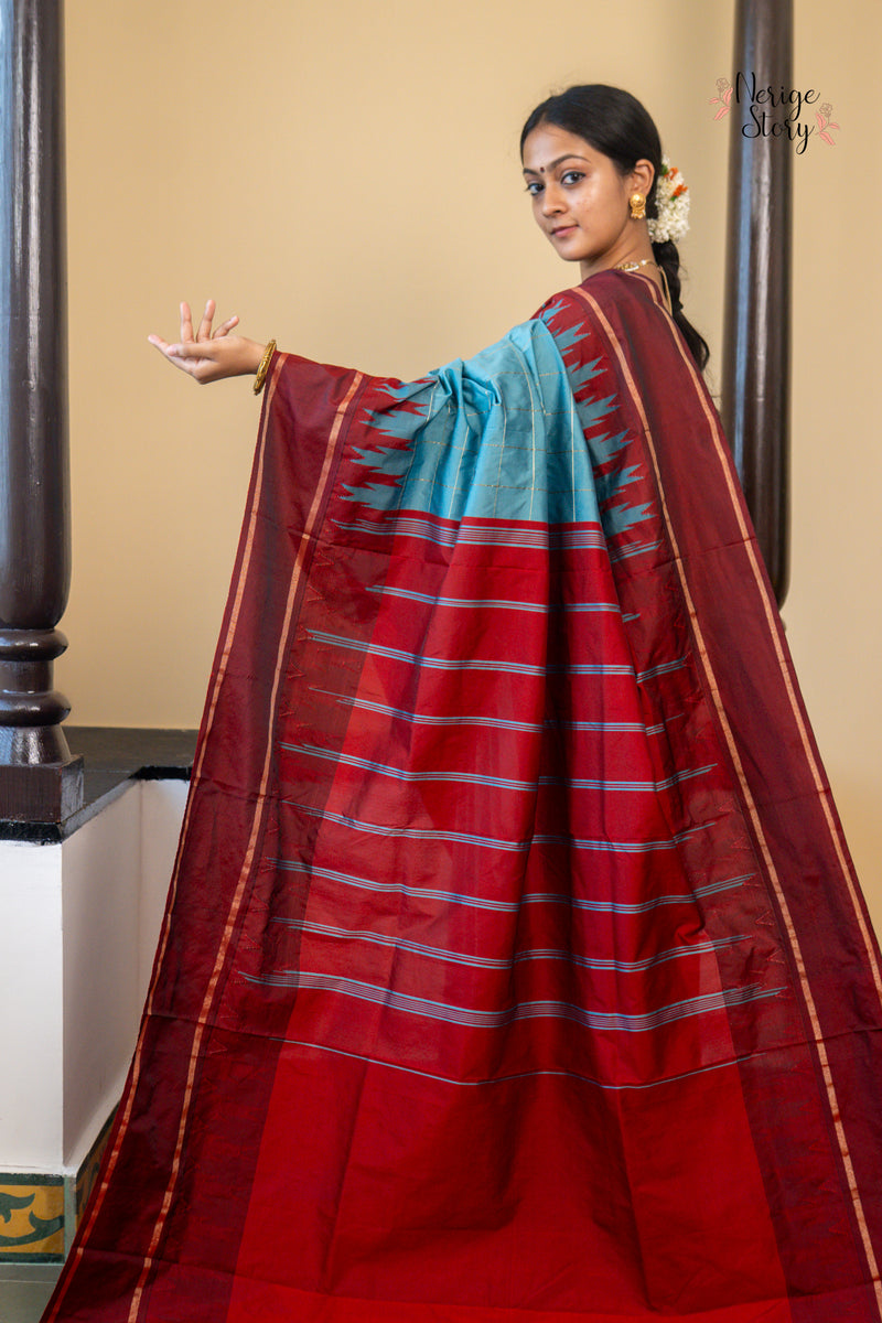 VEENAPANI (ವೀಣಾಪಾಣಿ)
