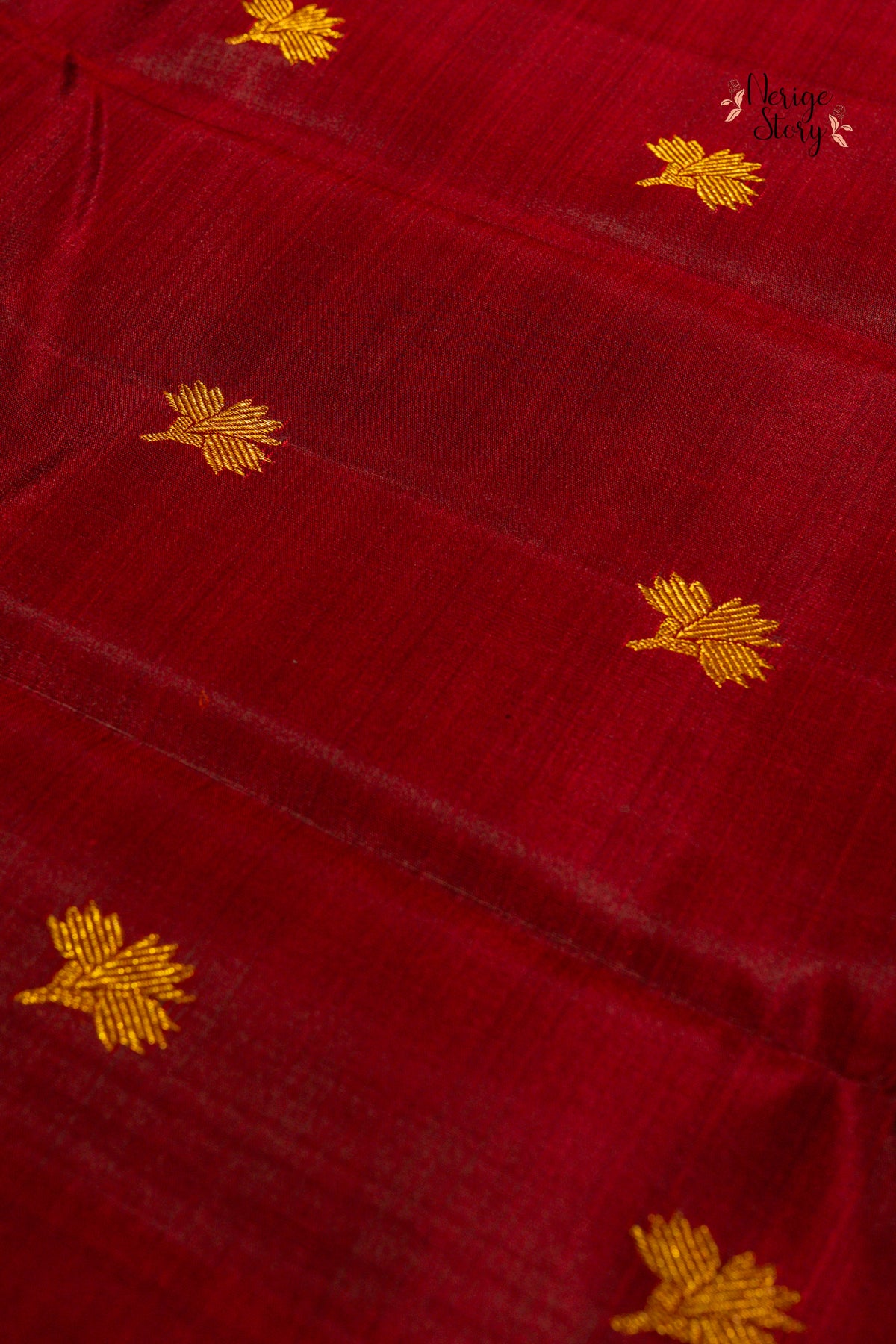 DHRISHITA (ధృషిత)