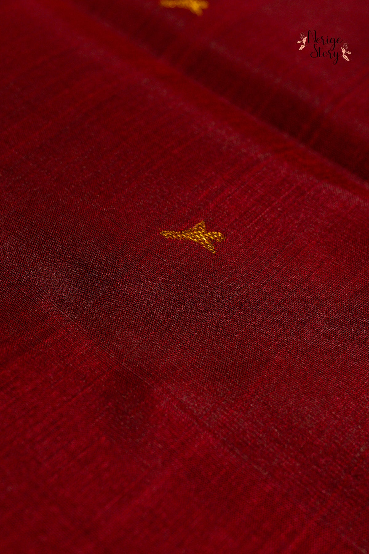 DHRISHITA (ధృషిత)