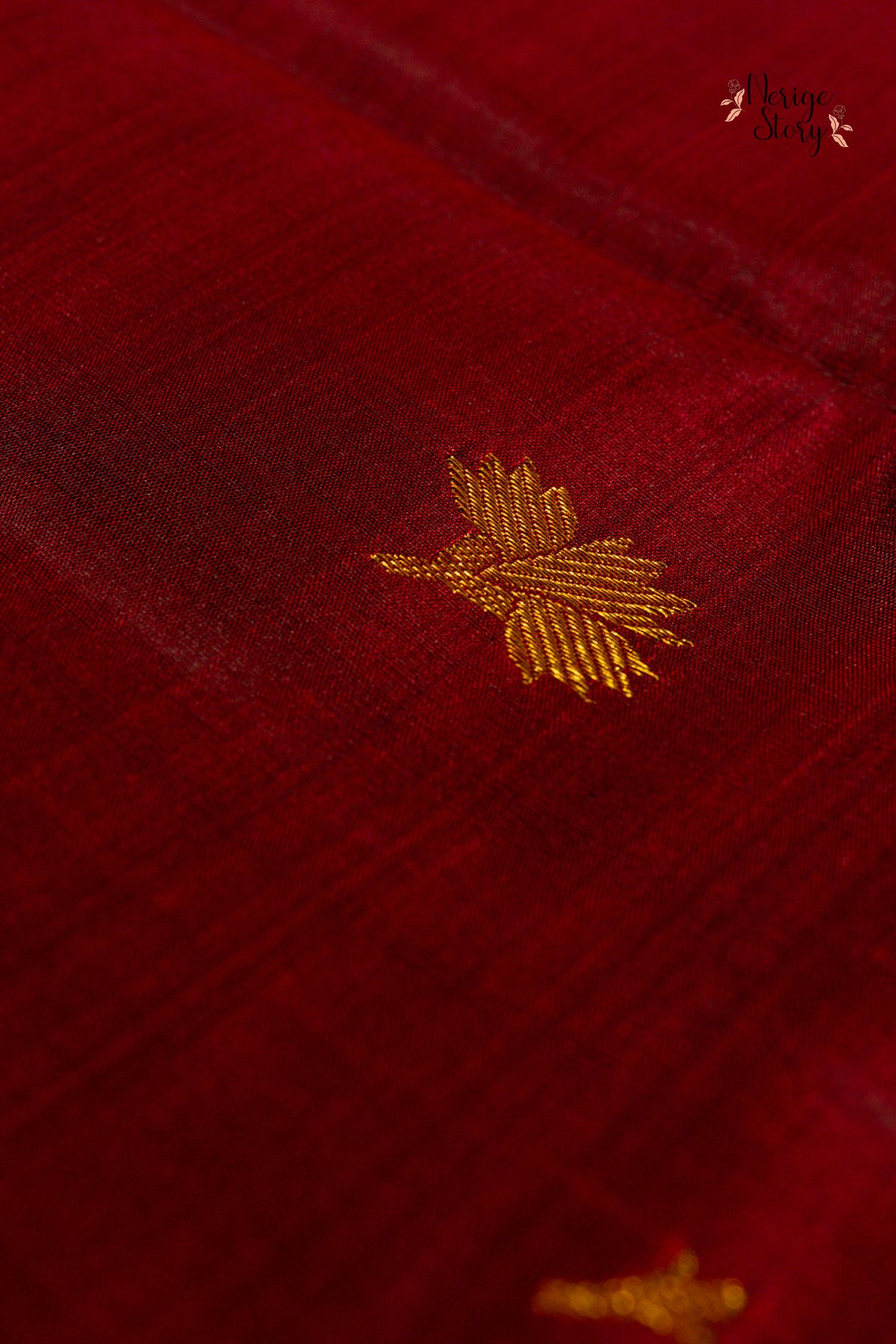 DHRISHITA (ధృషిత)