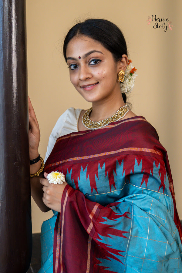 VEENAPANI (ವೀಣಾಪಾಣಿ)