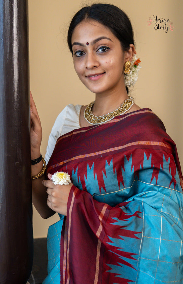 VEENAPANI (ವೀಣಾಪಾಣಿ)