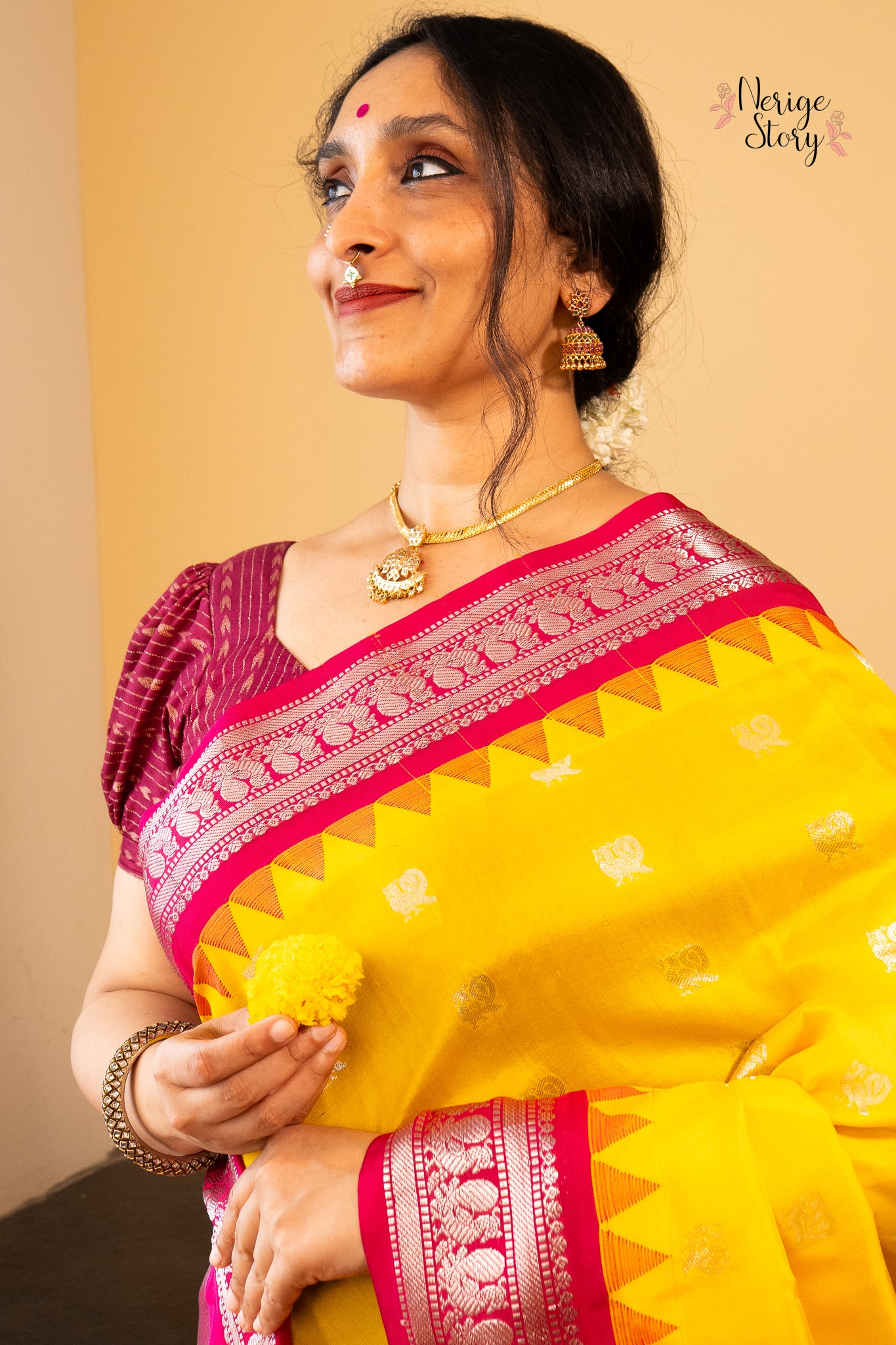 MEDHASVI (మేధస్వి)