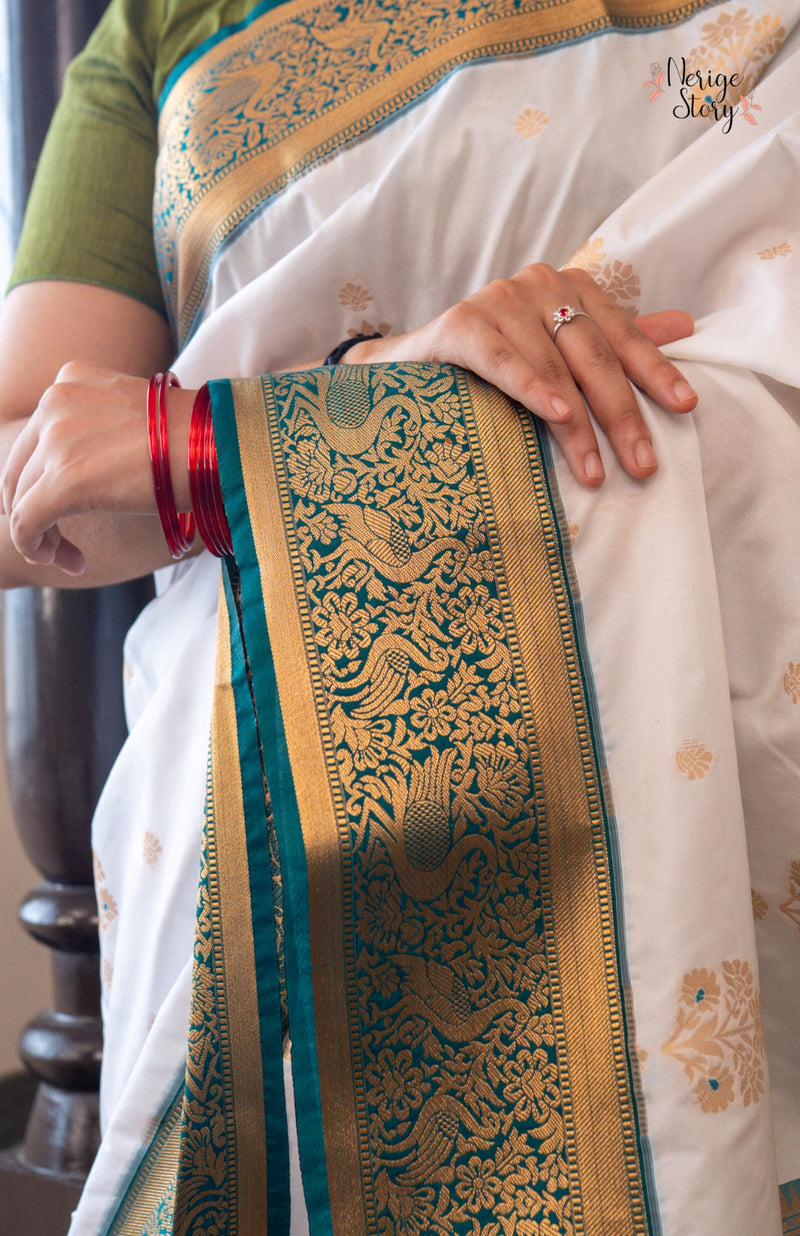 Close-up of a person wearing a traditional saree with intricate patterns and a ring on a blurred background.